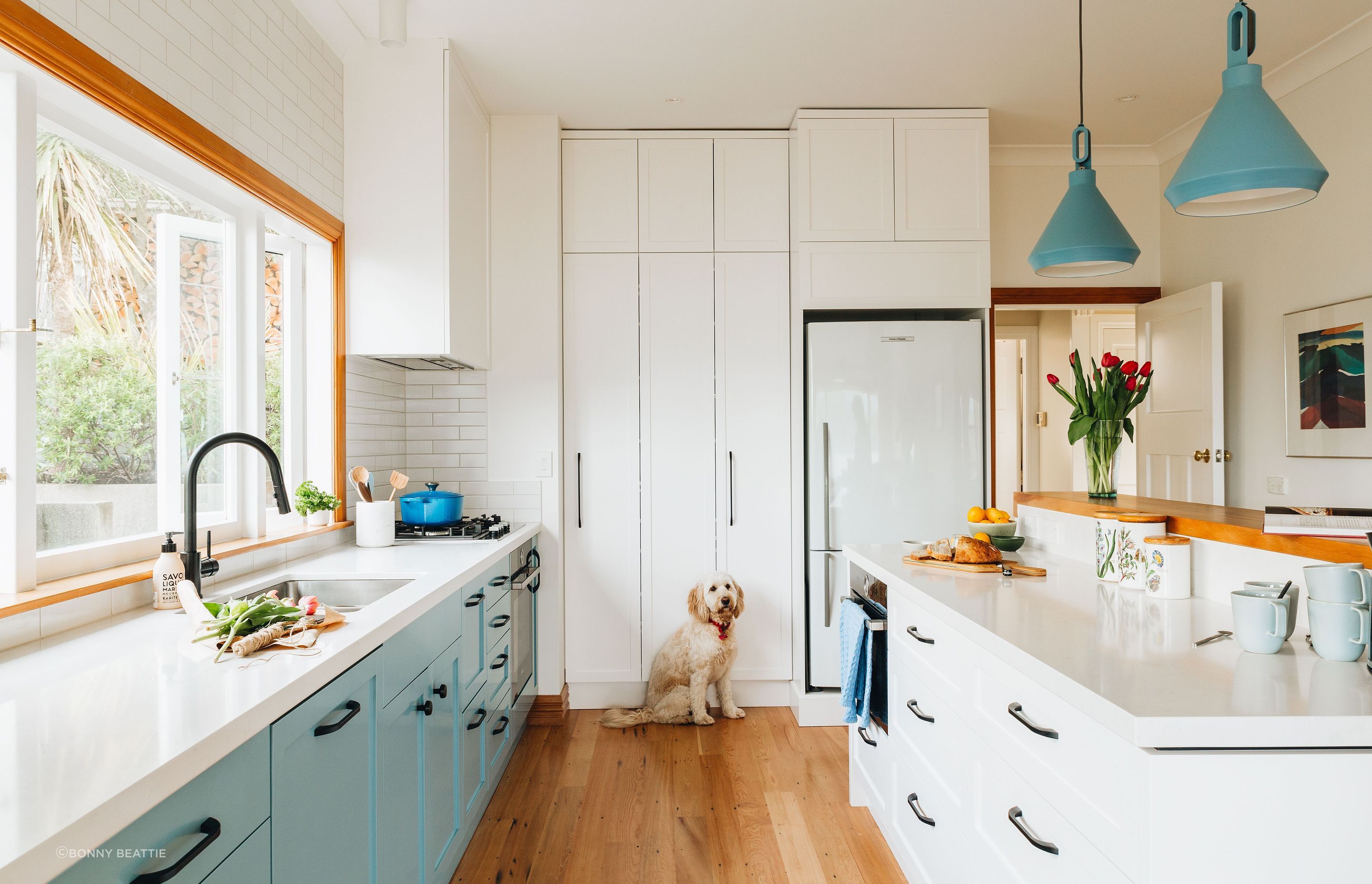 Seatoun Heights Kitchen -  the cabinet's blue was drawn from a number of our client's favourite artworks so we all felt really confident to use it to add presence and personality to the kitchen.