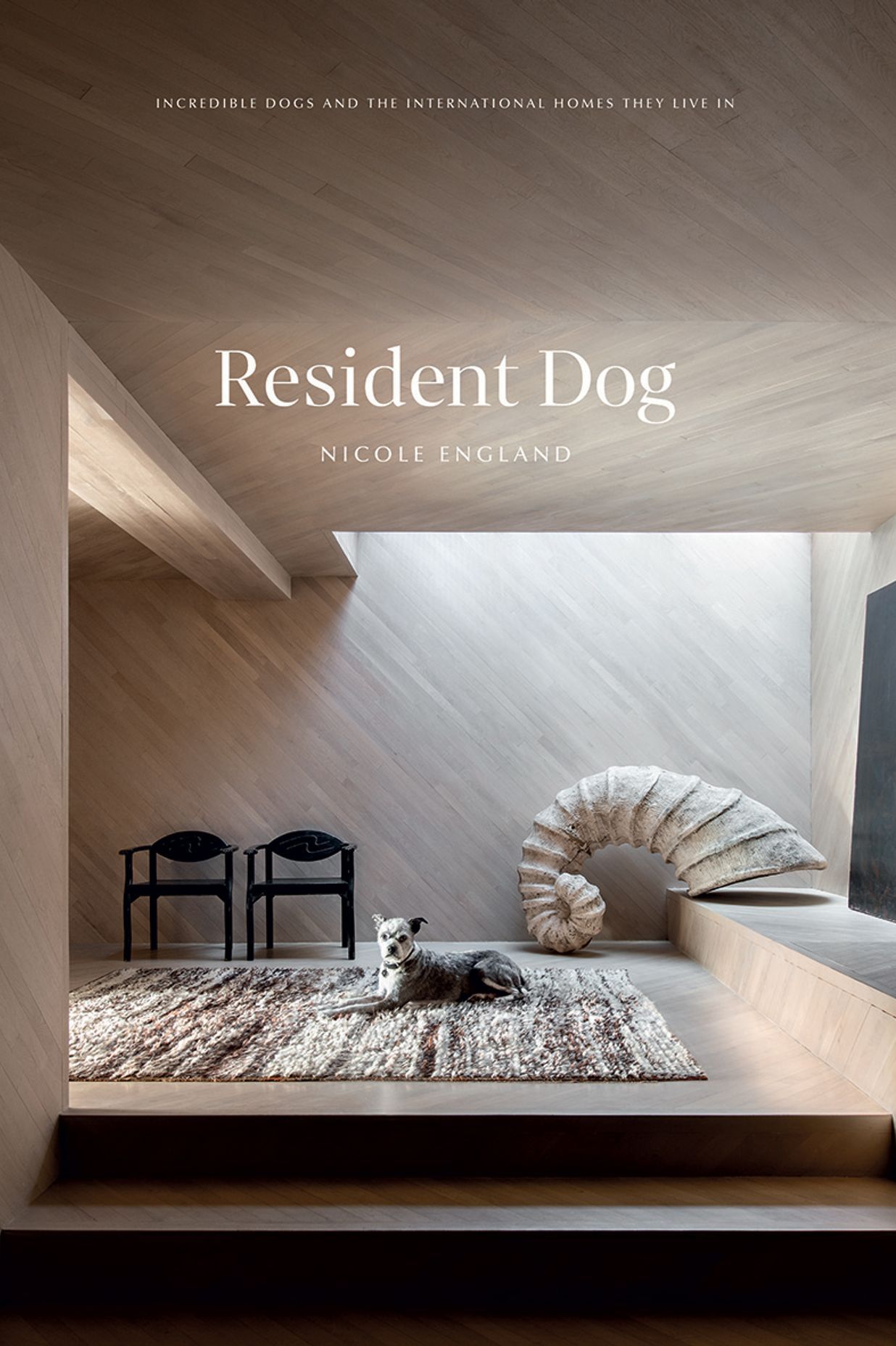Double duty: architecture and design coffee table books that combine style with substance