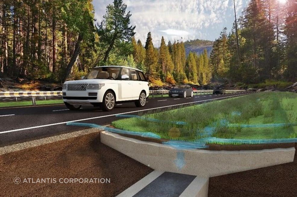 The importance of drainage in landscape design.