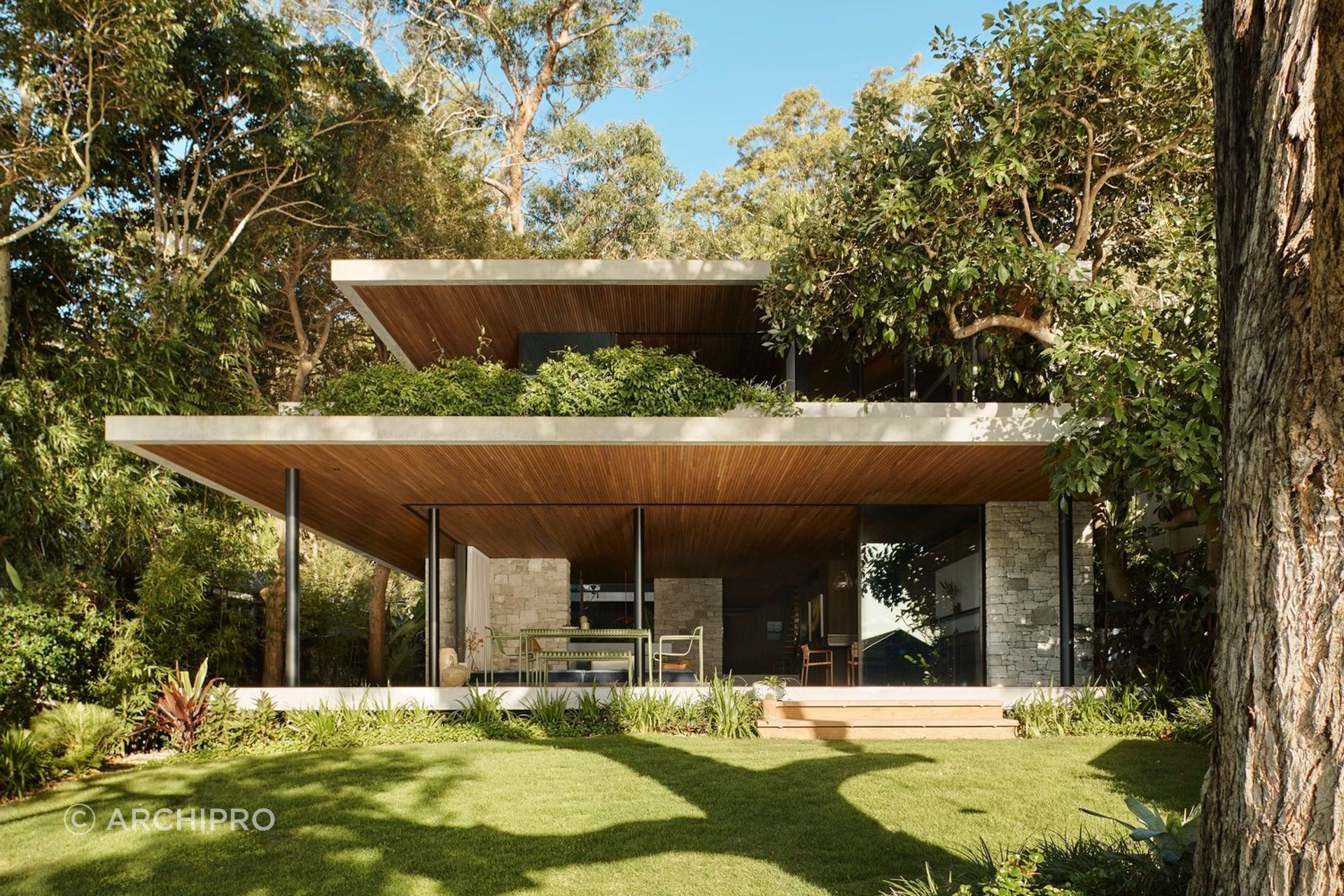 M House by Rama Architects | Photo Credit: Anson Smart