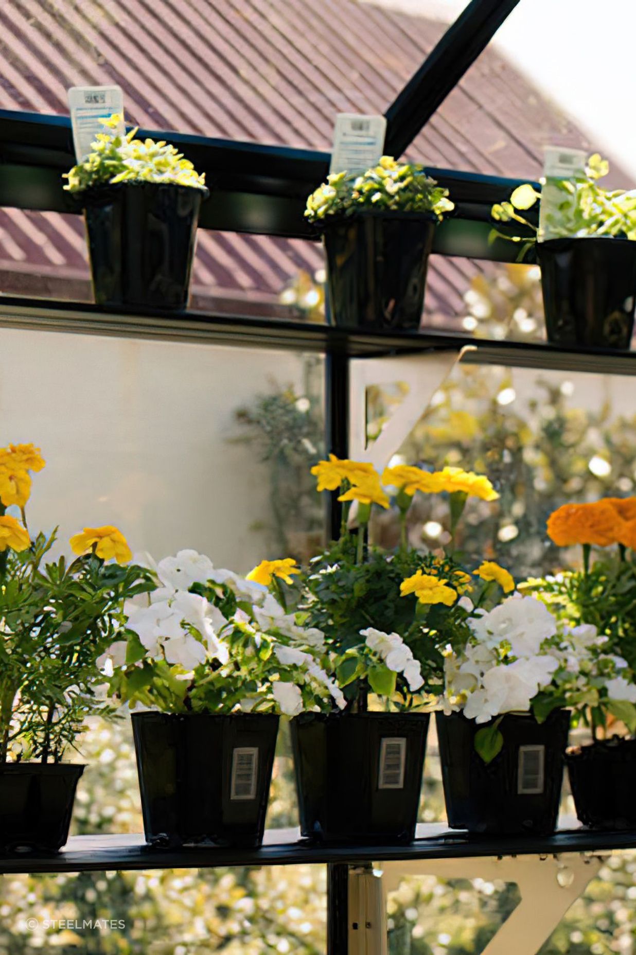 02-Apart-from-shielding-your-plants-1.jpg