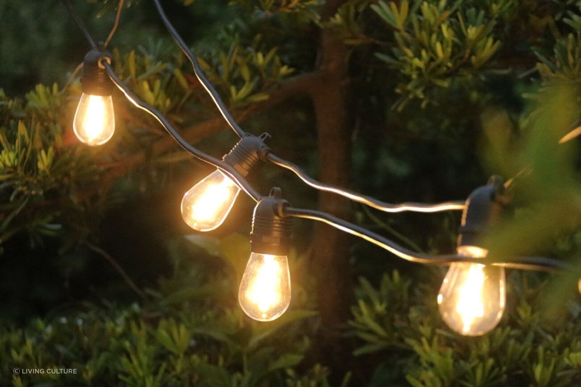 The warm glow of Outdoor Led Festoon String Lights from Living Culture add a magical touch.