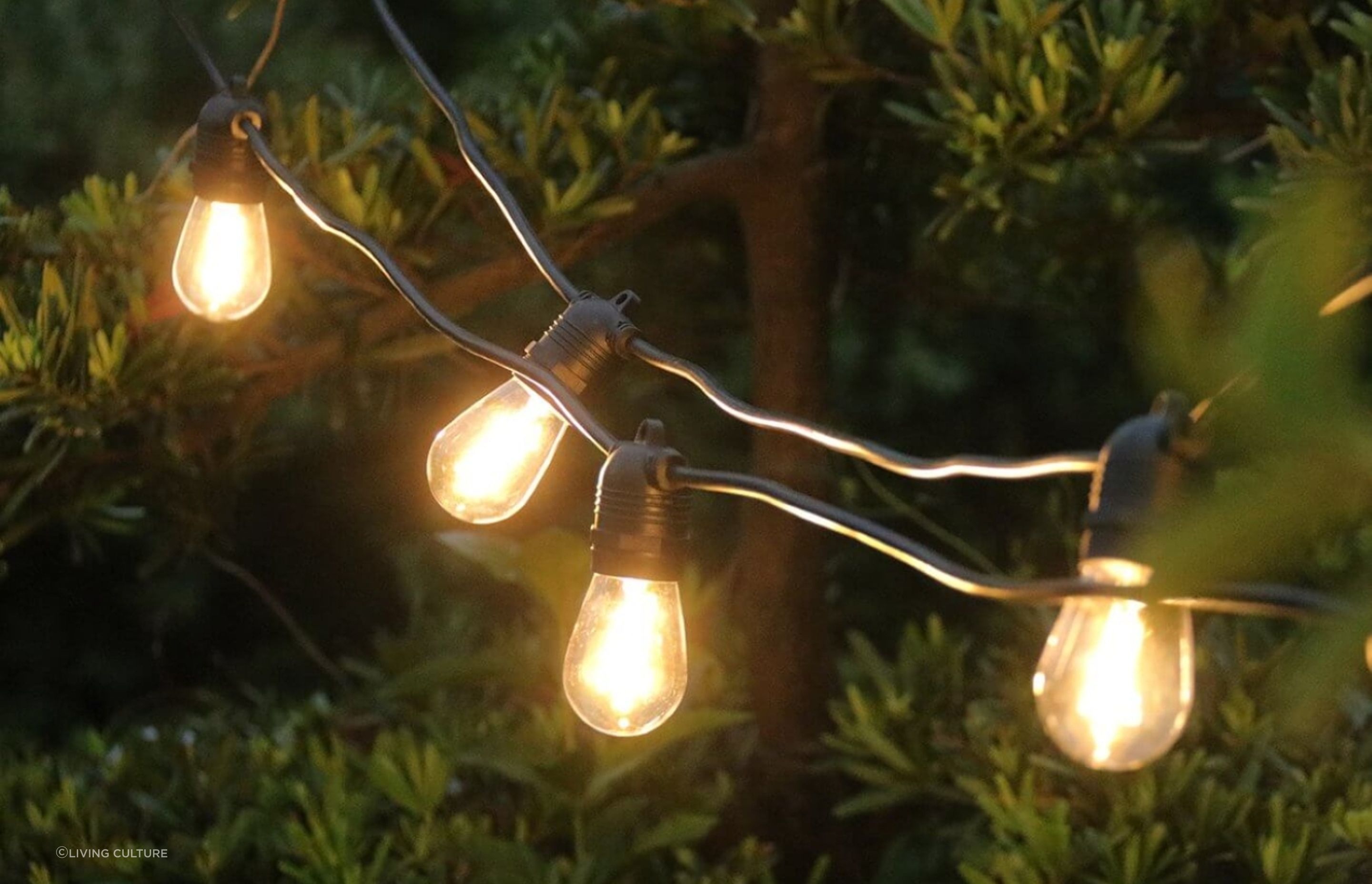 The warm glow of Outdoor Led Festoon String Lights from Living Culture add a magical touch.