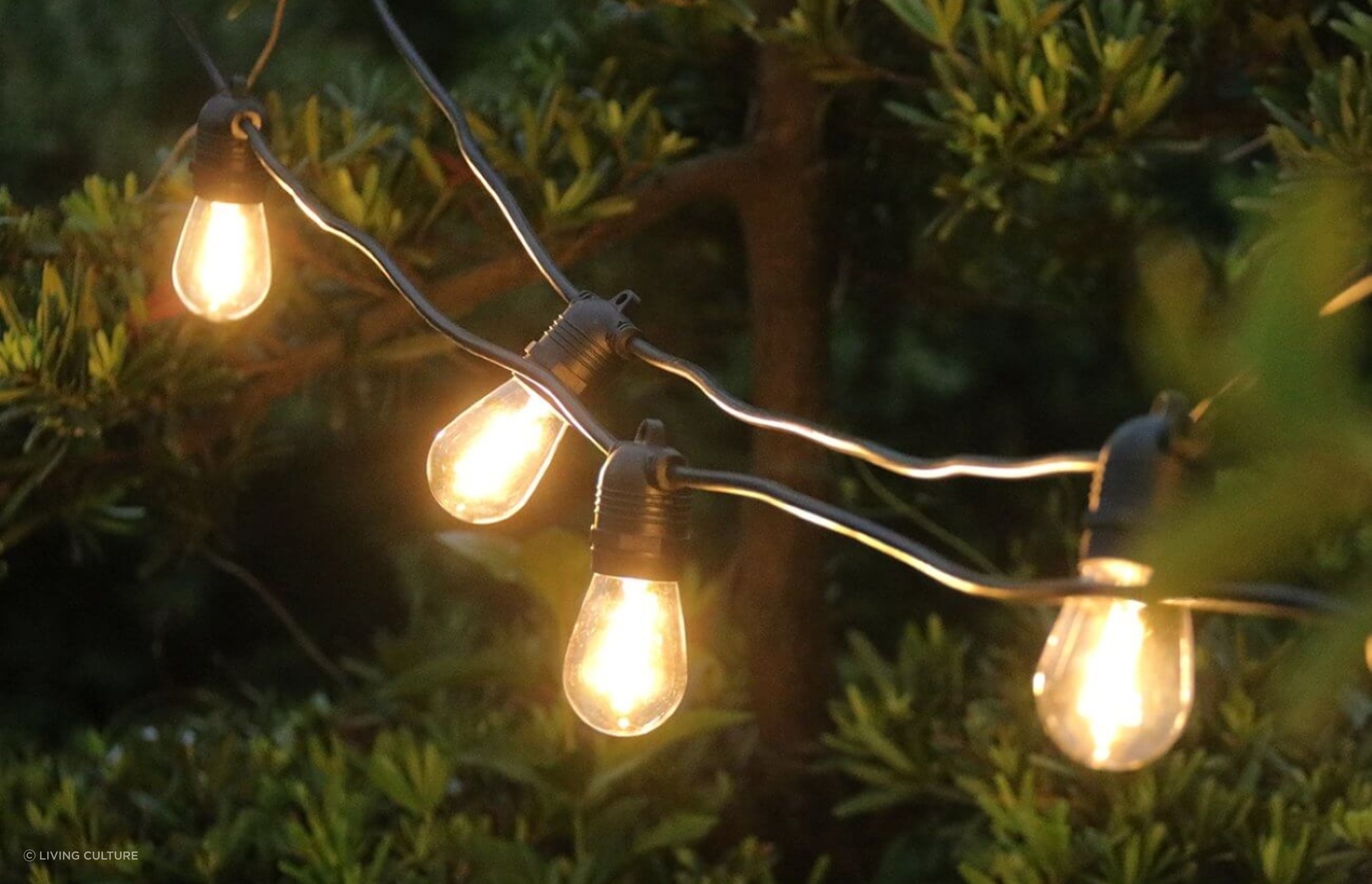 The warm glow of Outdoor Led Festoon String Lights from Living Culture add a magical touch.