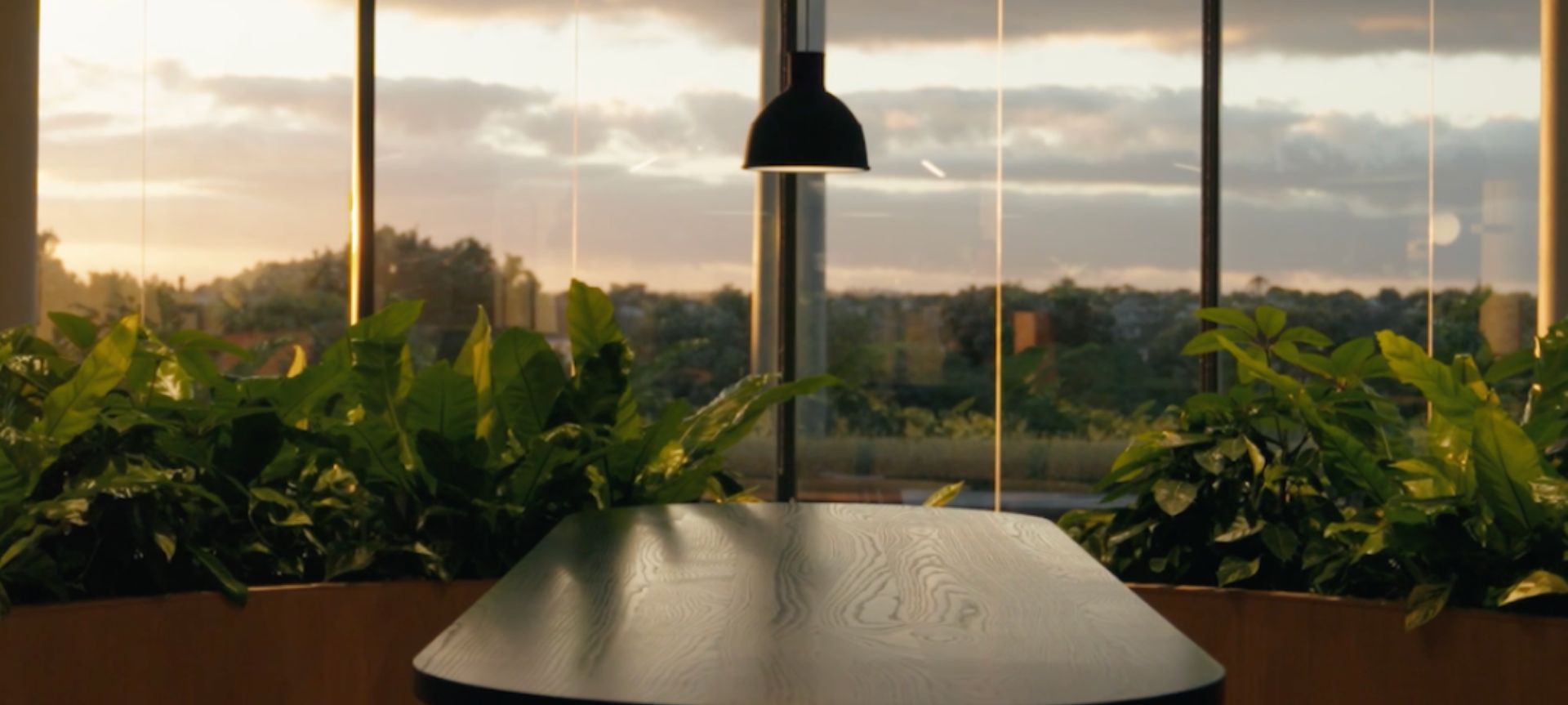 The Warehouse Group engaged GreenAir to deliver extensive planting in their head office.