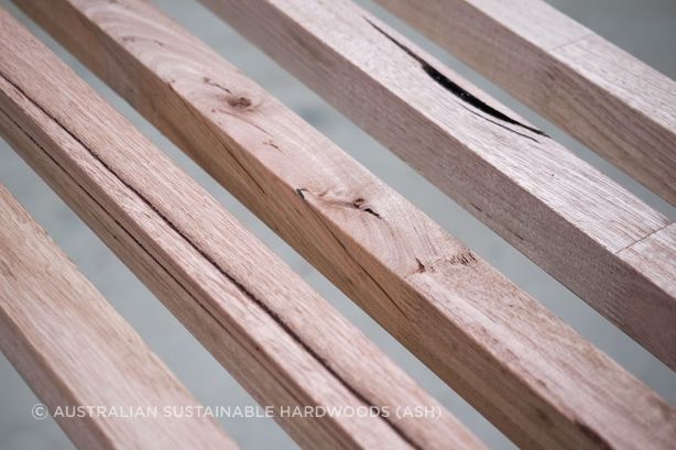 IronAsh batten profile. Full thickness gum pockets, knots, gum vein, pin hole, hobnail, grain orientation, splits and spring tear present are all examples of grade expectations.