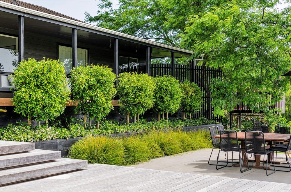 A garden that embraces layered planting has more visual interest and depth, seen here in this wonderful Ardmore garden.