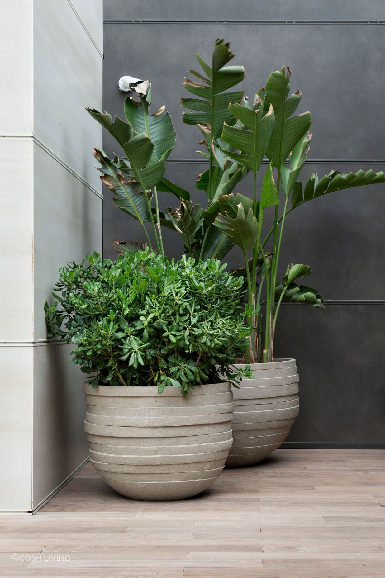 Textural Atelier Vierkrant planters available at Cosh Living.
