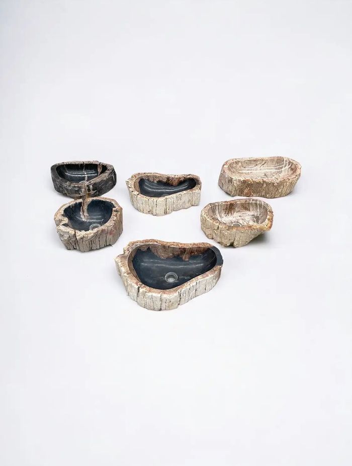 Petrified Wood Basins
By Volupto
