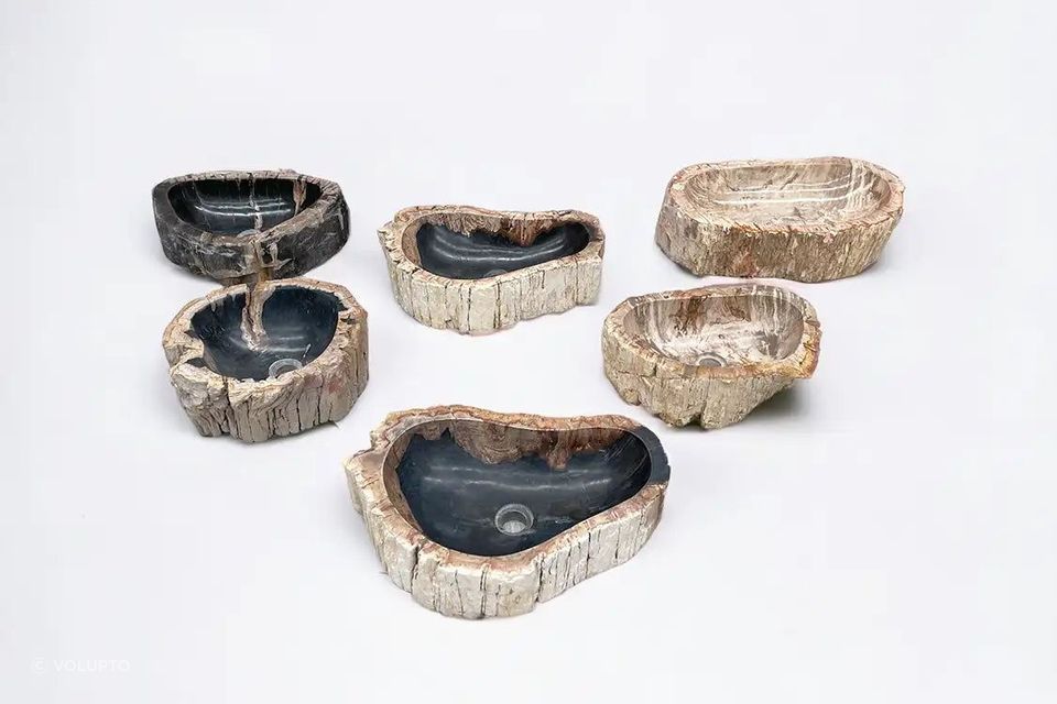 Petrified Wood Basins
By Volupto