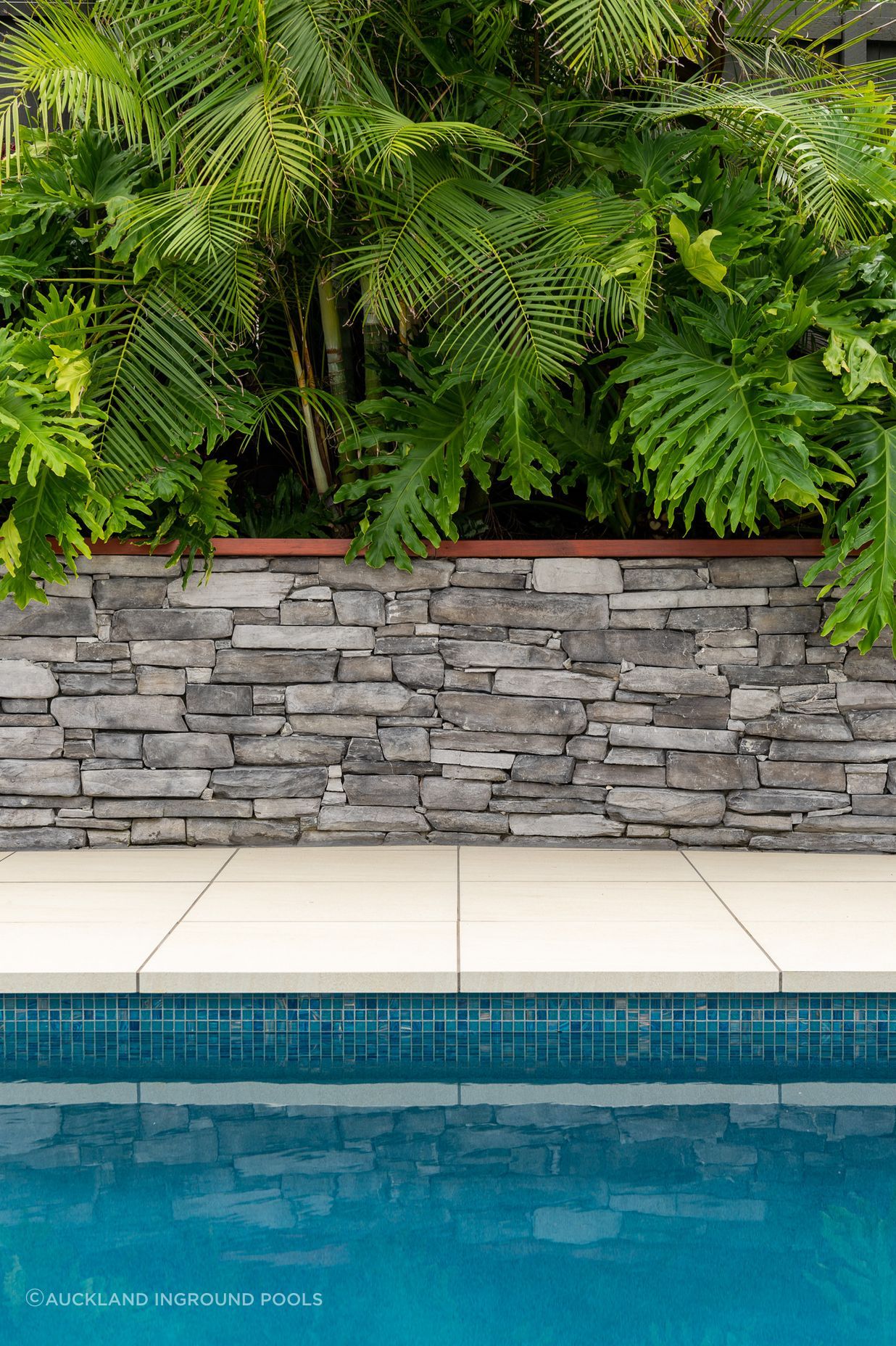 The newly renovated pool area by Auckland Inground Pools complements the existing garden area well.