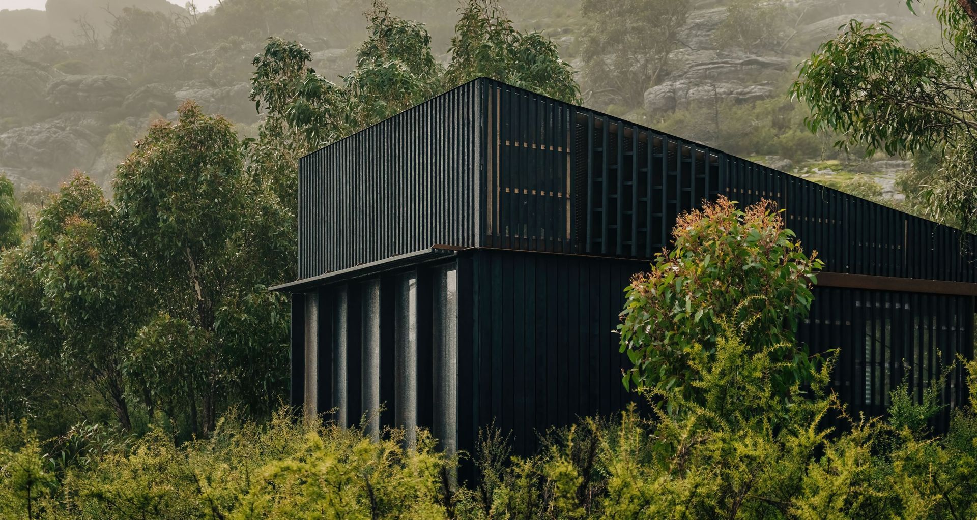 Charred Timber Cladding from Eco Timber Group.