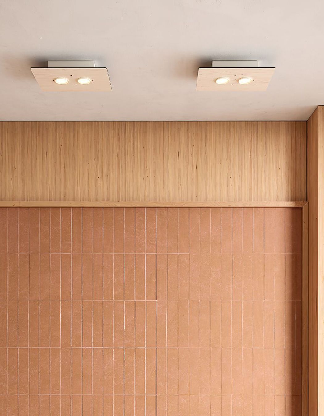 Equal Twin Ceiling Light
by Special Lights