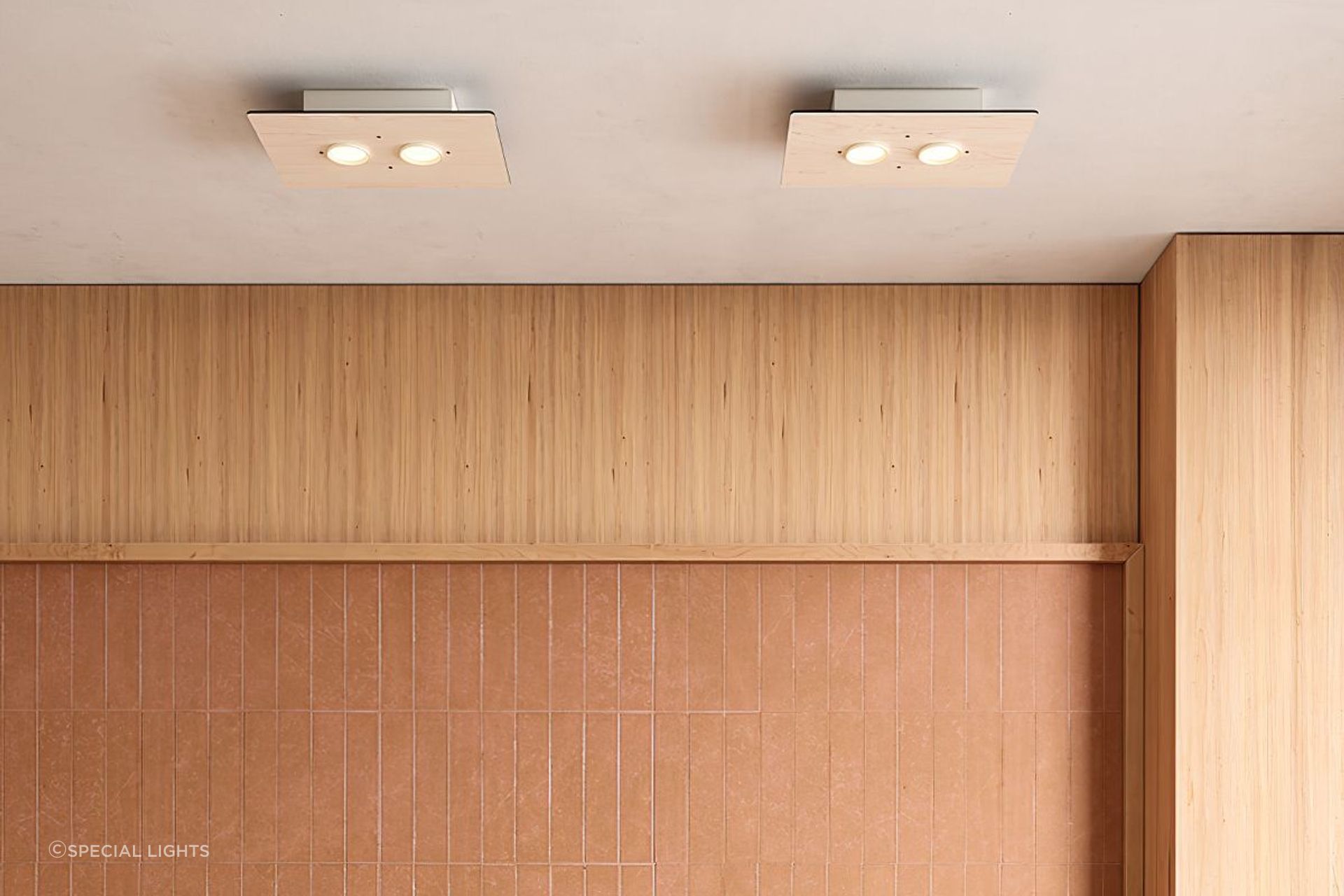 Equal Twin Ceiling Light
by Special Lights
