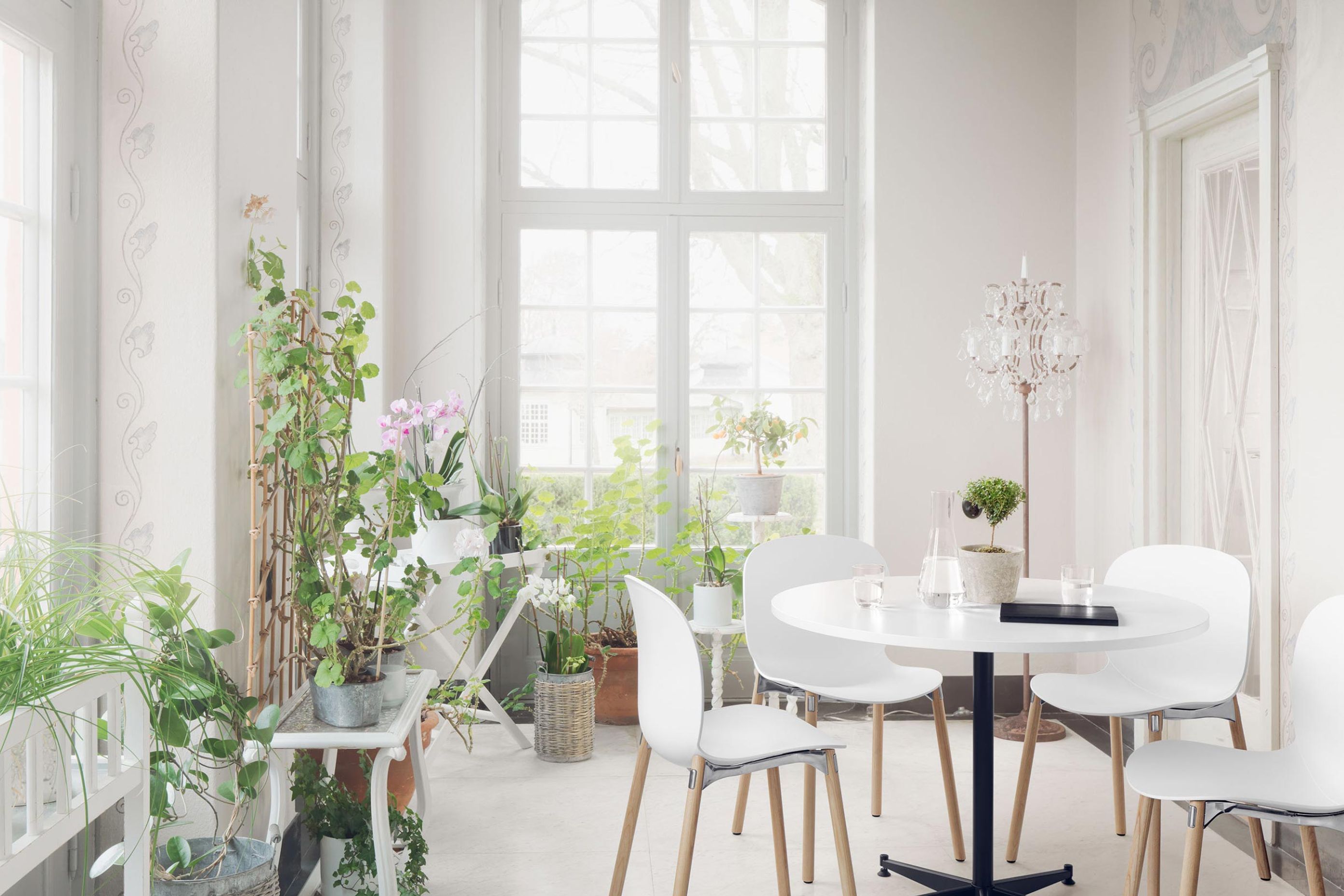 A light, bright dining area, complete with RBM Noor chairs and RBM connect table
