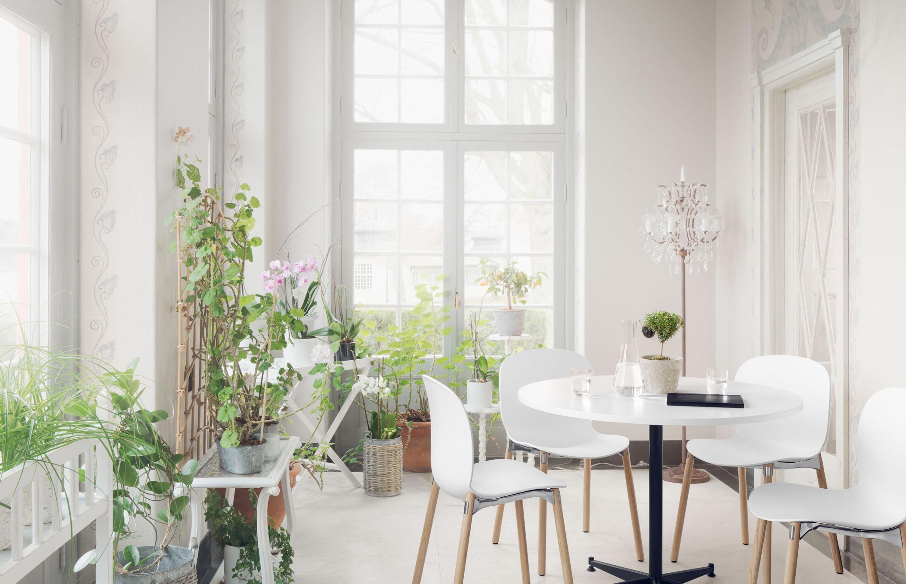 A light, bright dining area, complete with RBM Noor chairs and RBM connect table