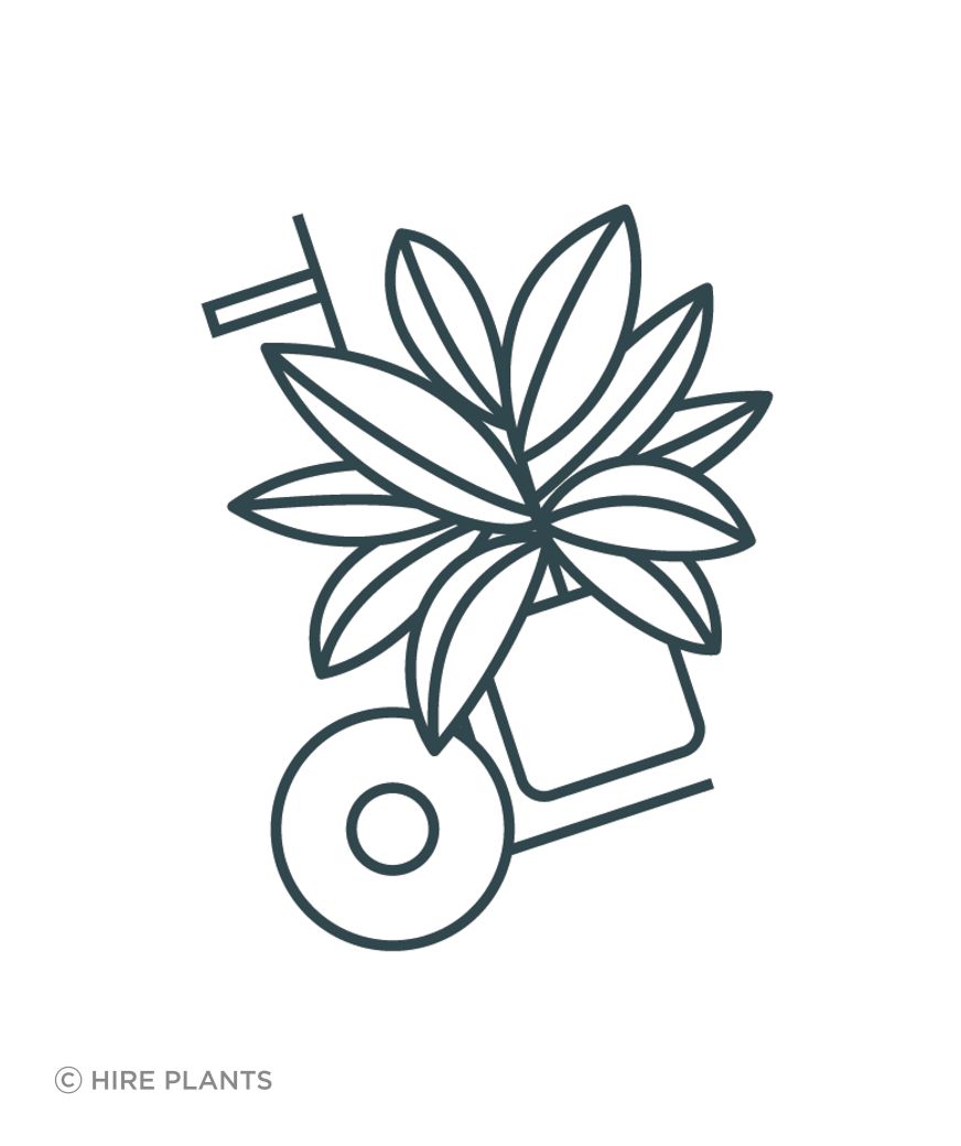 HP-Icon-Install-RGB-FGreen.png