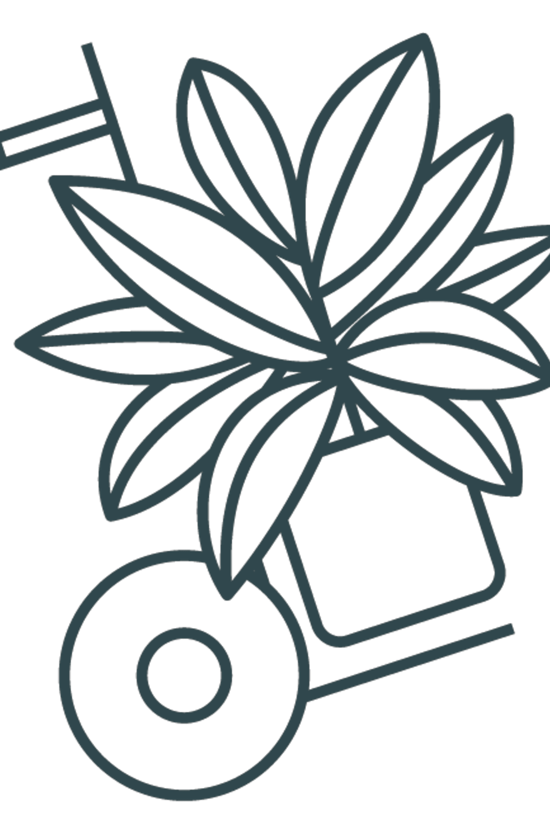 HP-Icon-Install-RGB-FGreen.png