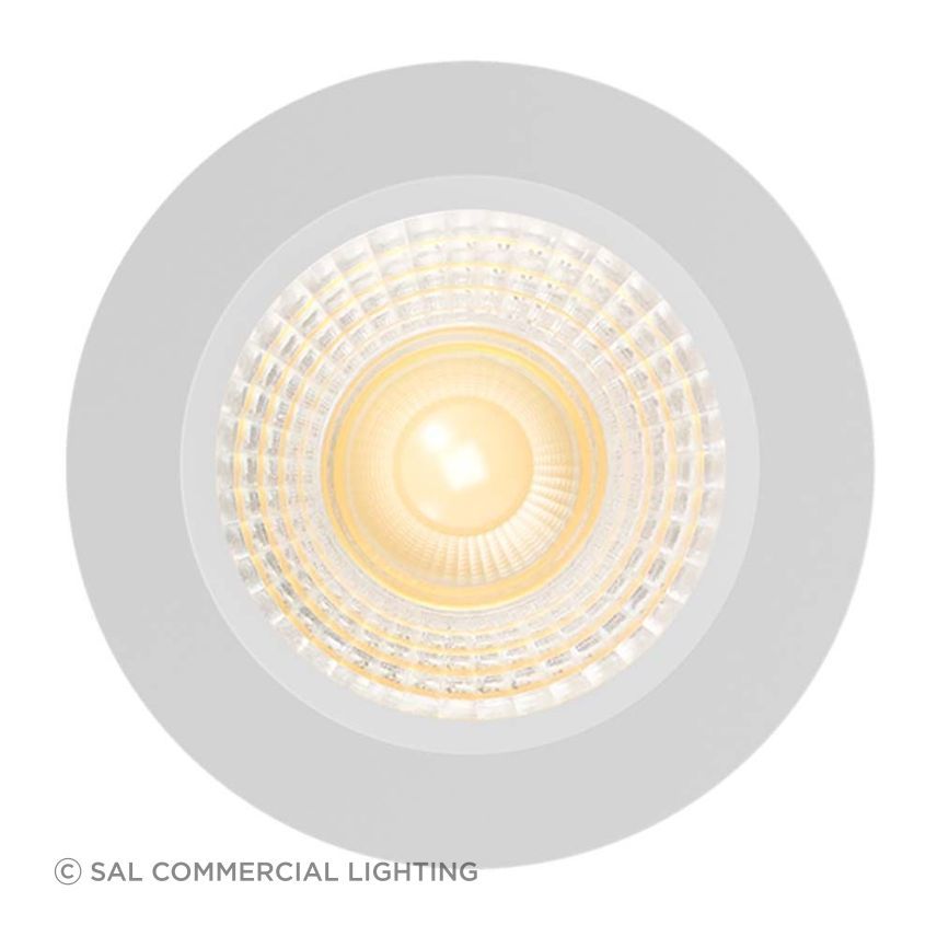 6 popular types of downlights styles, prices, bulbs, and FAQs