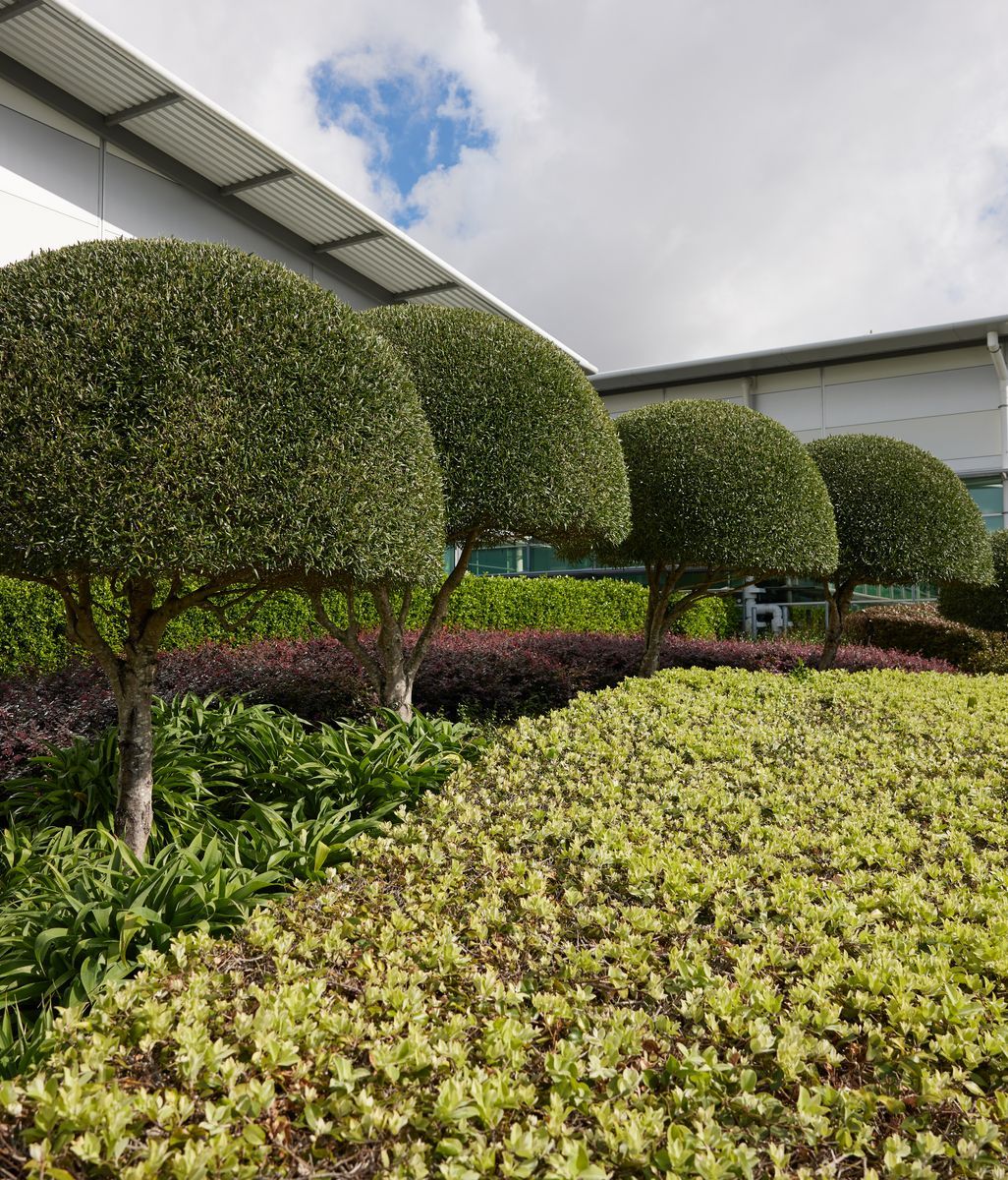 Why a landscaping maintenance subscription is crucial for commercial properties to maintain brand identity