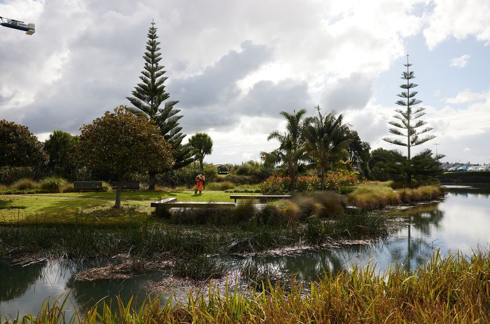A gardener from Natural Habitats maintains the beautiful grounds of Healthcare Park.