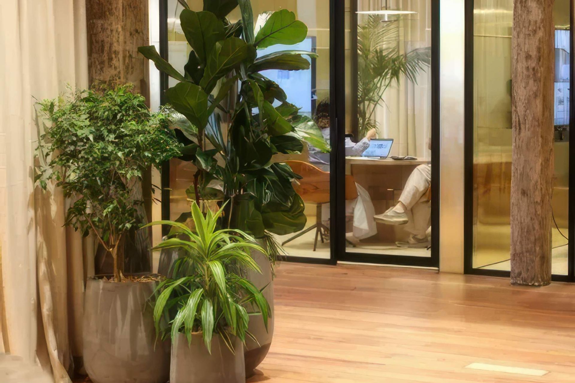 IFC-IDR-IFP-ITR-CBL-Ficus-Lyrata-w-underlpanting-Ficus-Benjamina-Dracaena-Lemon-Lime-in-assorted-grey-bianca-Archipro-223-2-gigapixel-high-fidelity-v2-2000w.jpeg