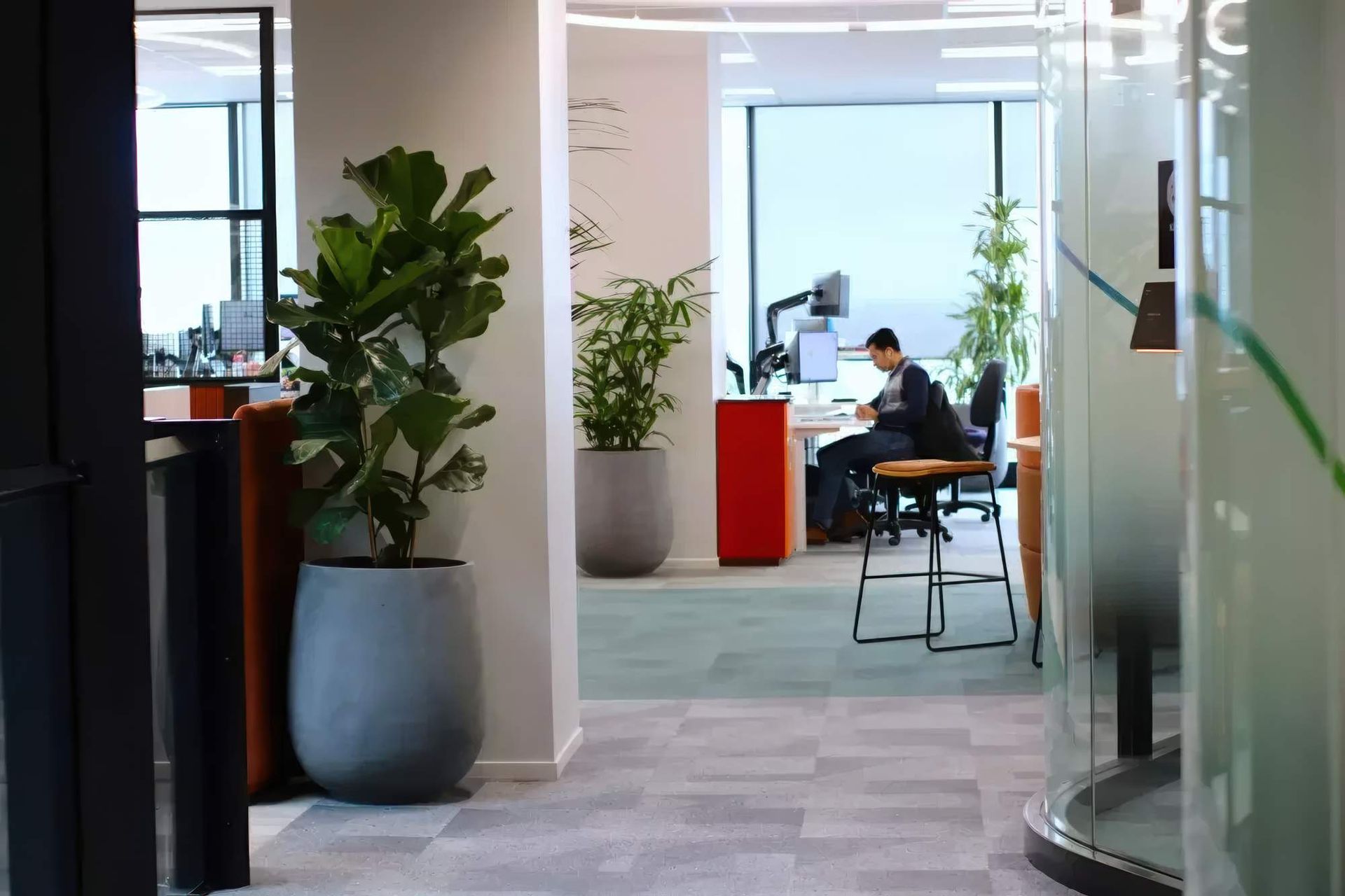 IFP-IPO-IDR-CBL-mixed-indoor-plants-in-grey-bianca-palm-pot-Vector-723-gigapixel-high-fidelity-v2-2000w.jpeg