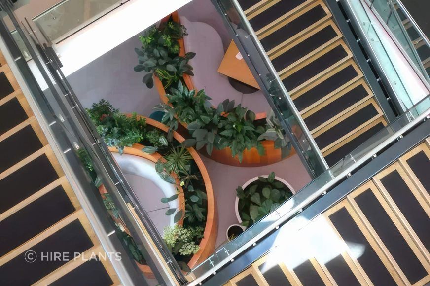 IGG-IFP-CBL-Indoor-inbuilt-garden-with-mixed-planting-vero-0823-5-1-gigapixel-high-fidelity-v2-2000w.jpeg