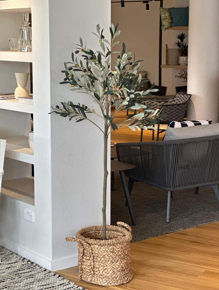 Liven up your spaces with the Potted Trim Olive Tree 153cm by Olan Living