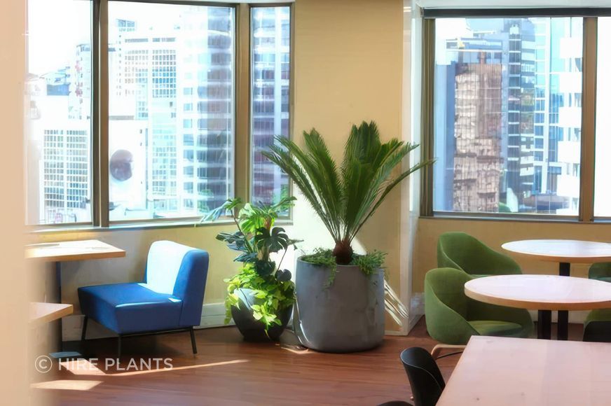 IPO-IFP-ITR-VRM-CBL-plant-groupings-with-underplanting-salesforce-324-gigapixel-high-fidelity-v2-2000w-v3.jpeg