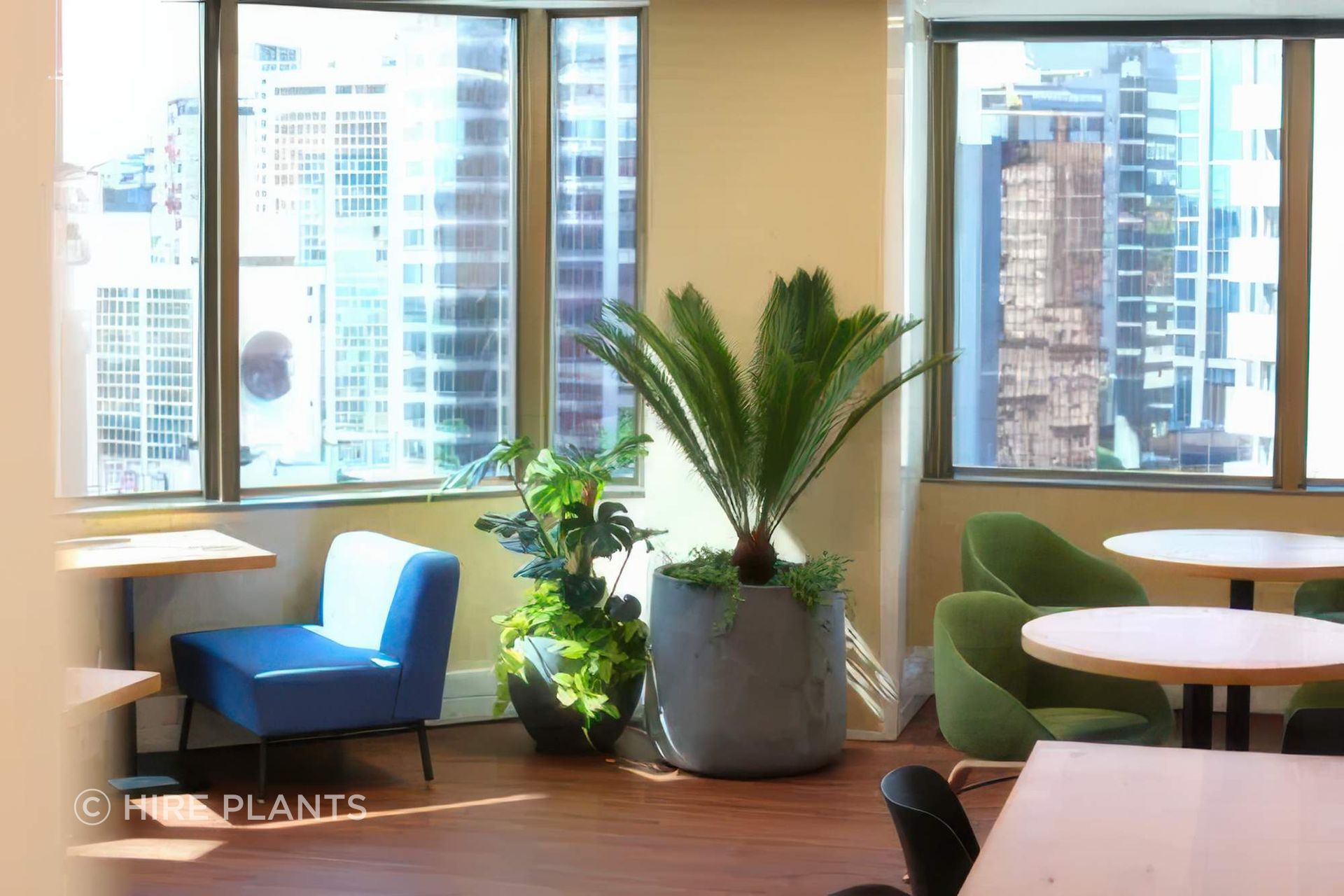 IPO-IFP-ITR-VRM-CBL-plant-groupings-with-underplanting-salesforce-324-gigapixel-high-fidelity-v2-2000w-v3.jpeg
