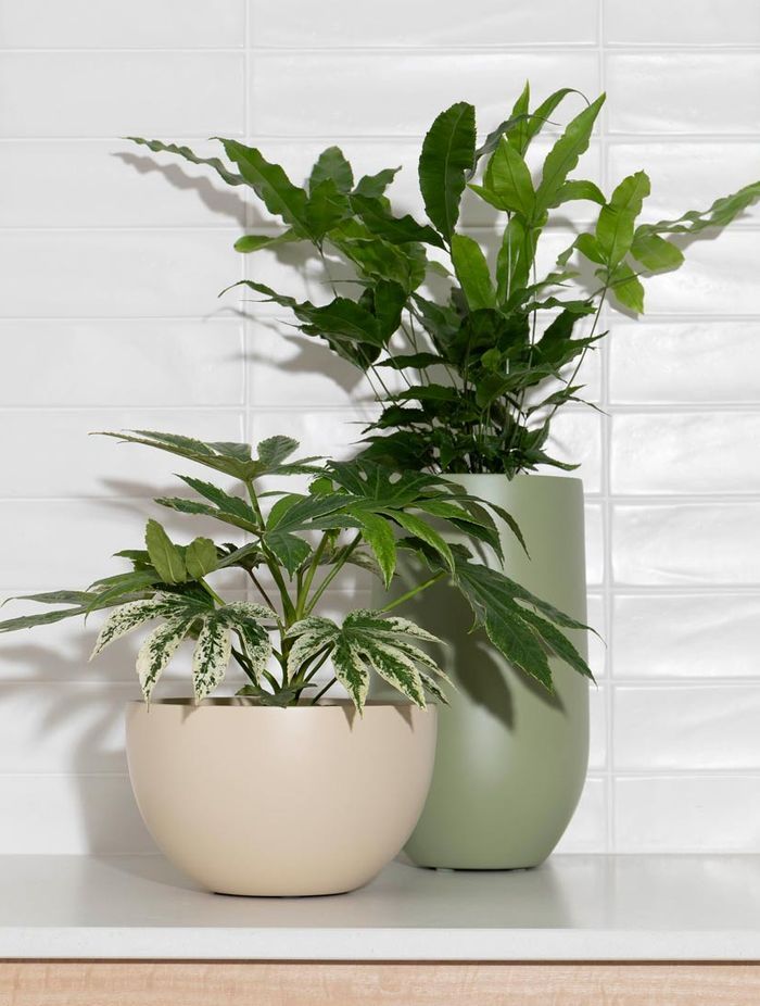 Chelmer Mini Planter in Matte Cream and Hendra 30 Tabletop Vase