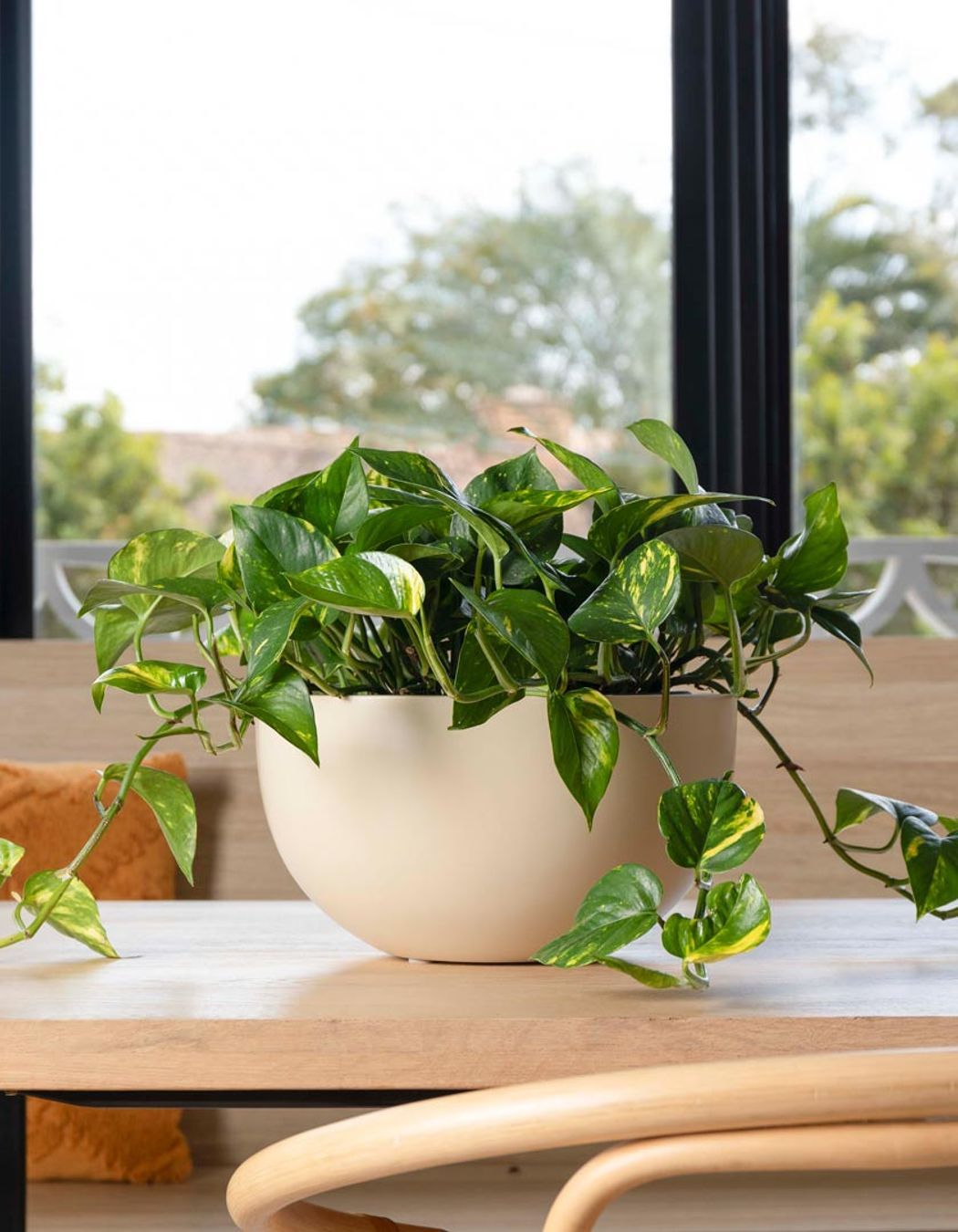 Bardon 17 Bowl in Matte Cream