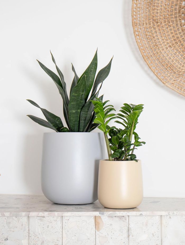 Tabletop Ashgrove in Matte Grey and Mini Planter Ashgrove in Matte Cream