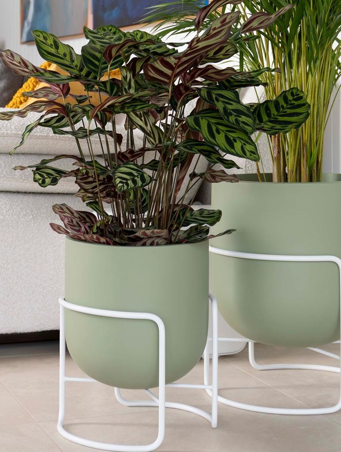 Planter Stand Bodo in Matte Olive Green