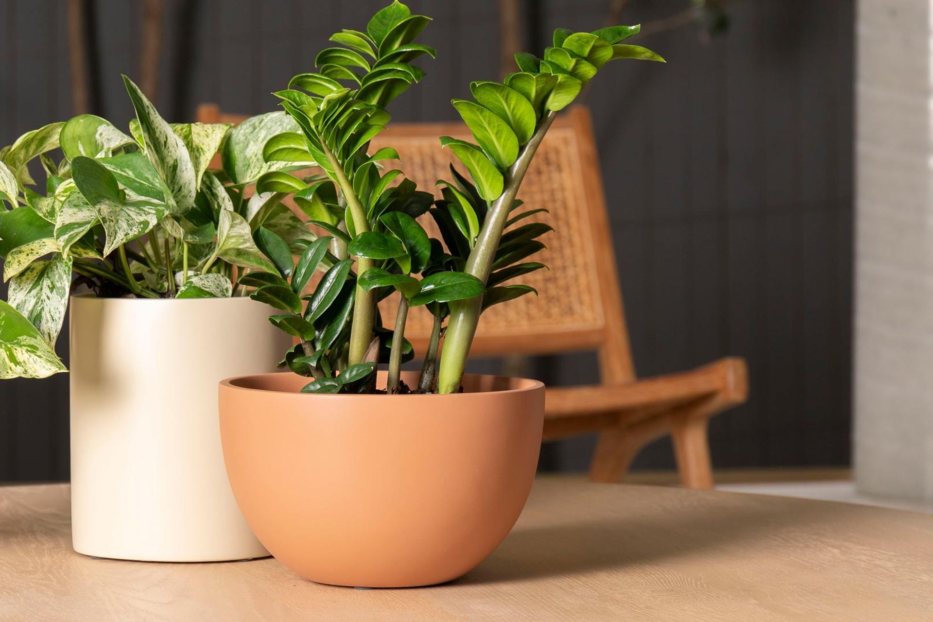 Chelmer Bowl in Matte Tan and Wilston Cylinder in Matte Cream