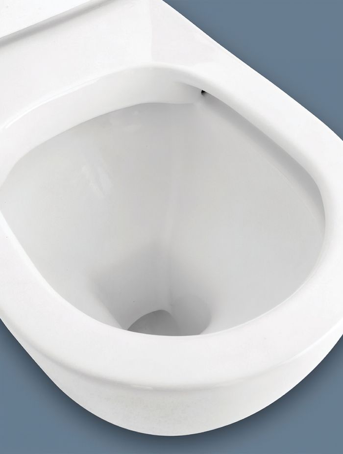 The Koko Back-to-Wall Toilet Suite from Fienza showcases a rimless design with a chute for water on the side of the pan.