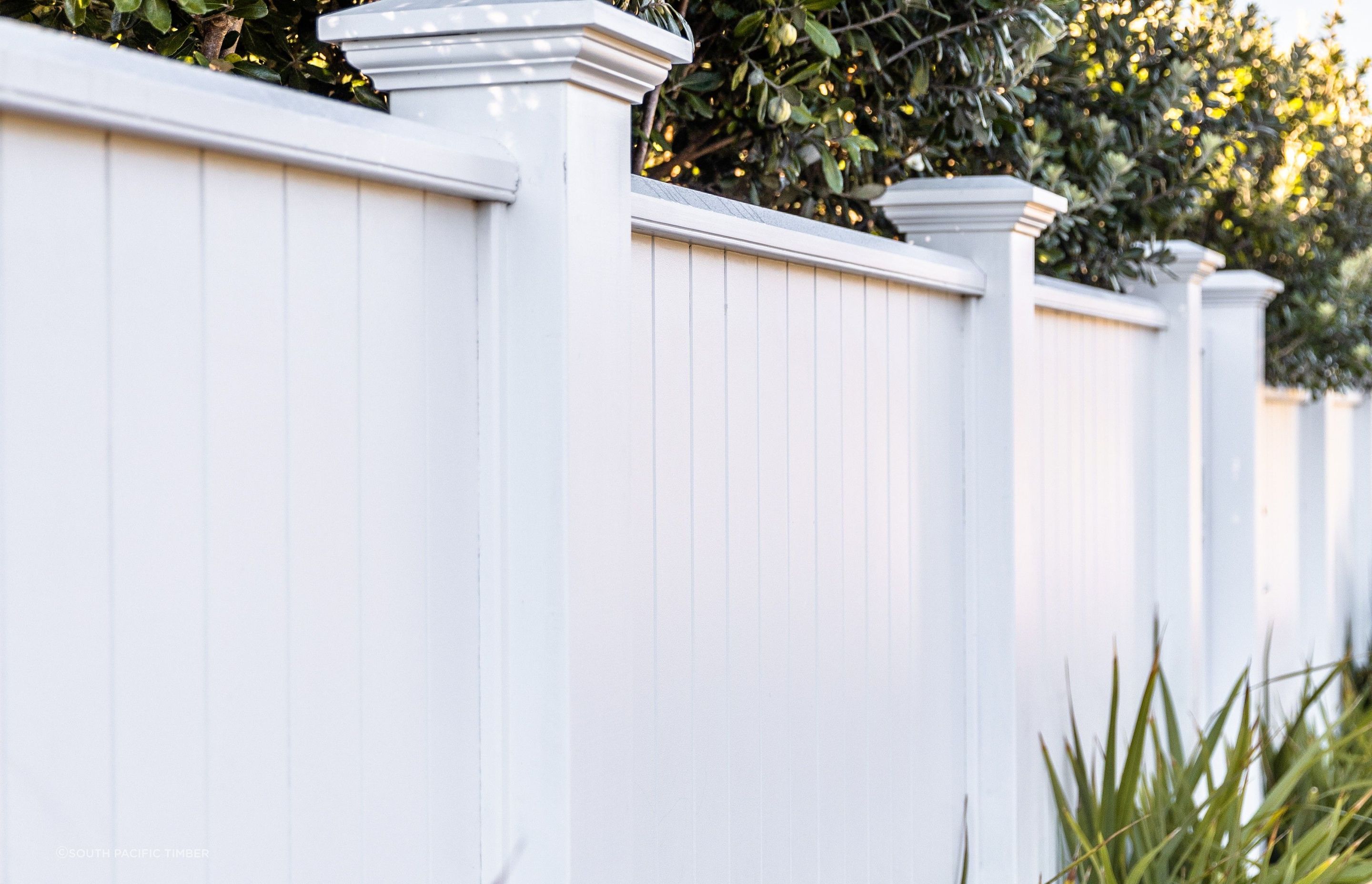KLC’s GenLam® Fencing System is made from 100% NZ Grown Radiata Pine.