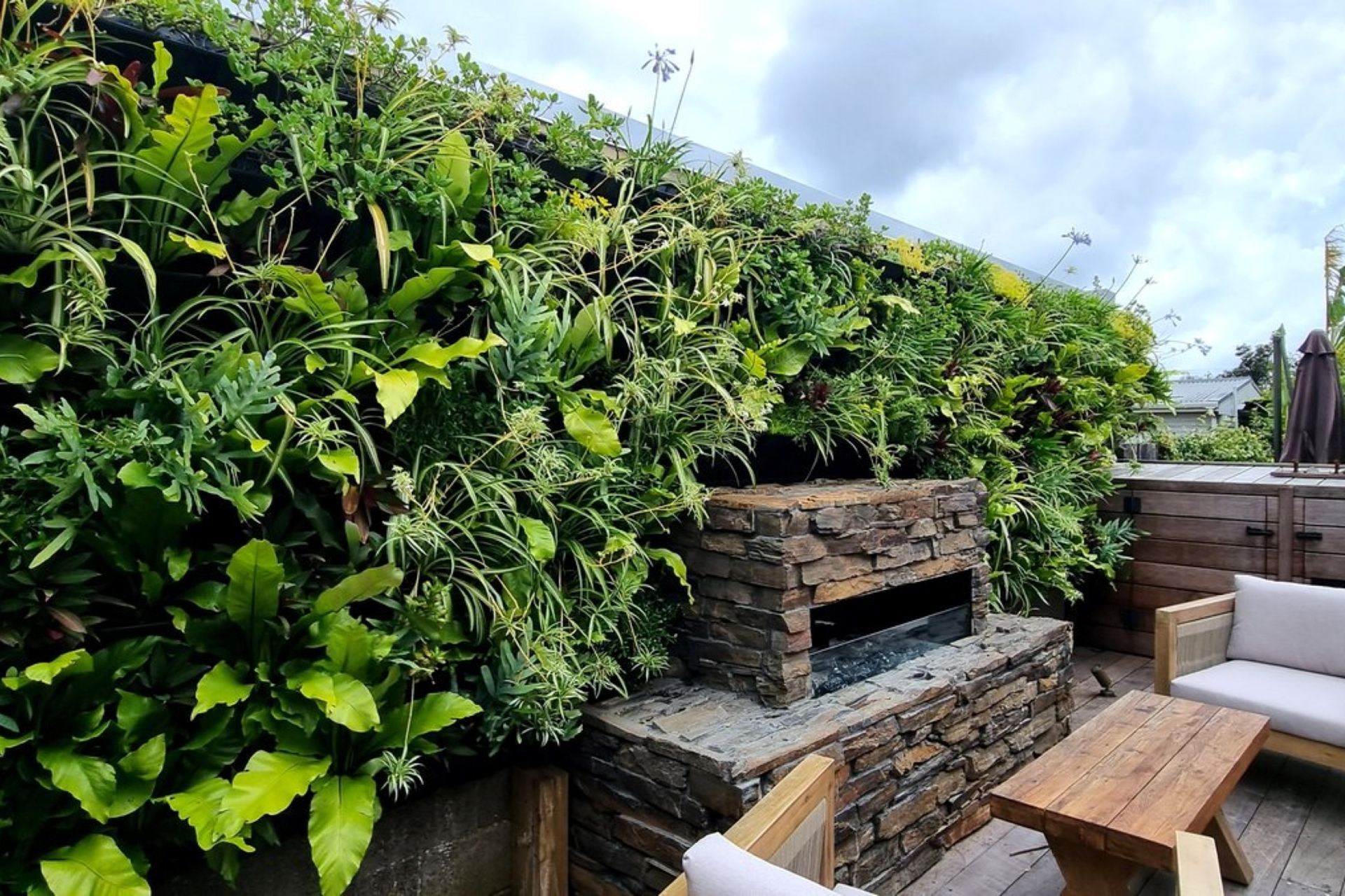 Living-Walls-By-Grasshopper-Gardens.jpg