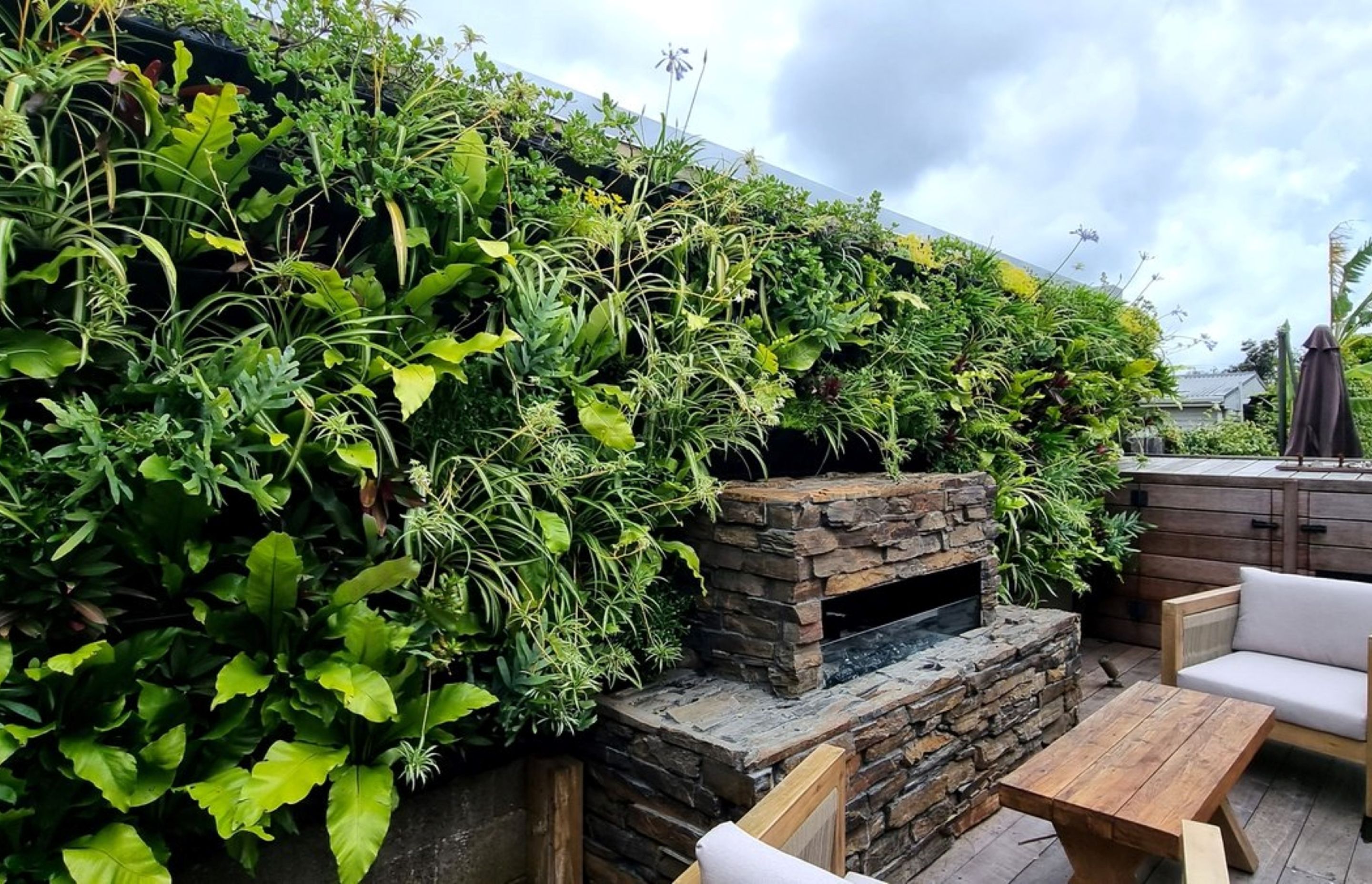 Living-Walls-By-Grasshopper-Gardens.jpg