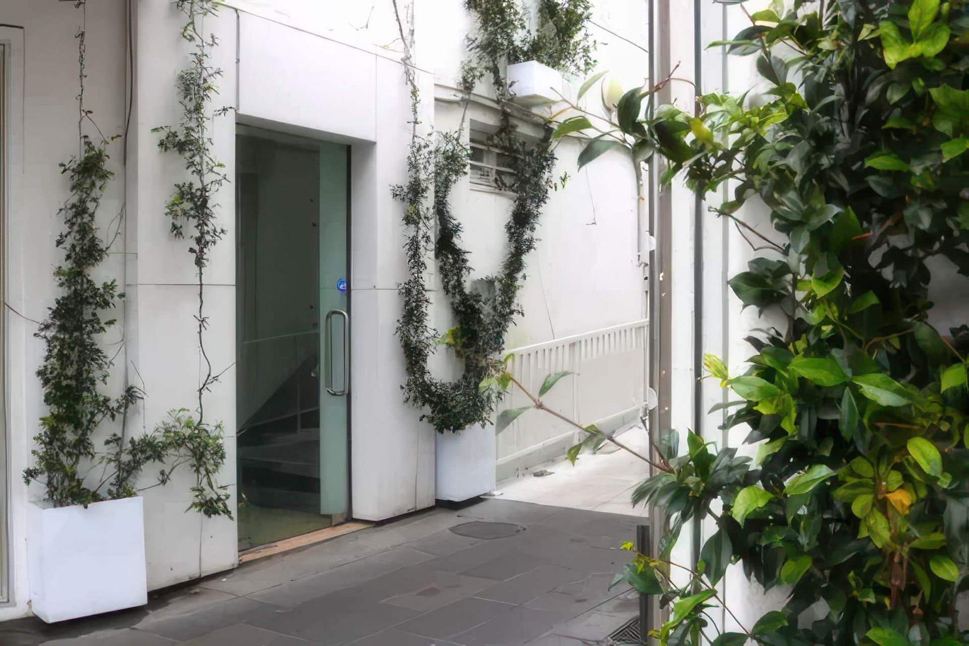 OTR3-ICT1-Star-Jasmine-in-custom-white-trough-Newmarket-Crossing-723-5-gigapixel-high-fidelity-v2-2000w.jpeg