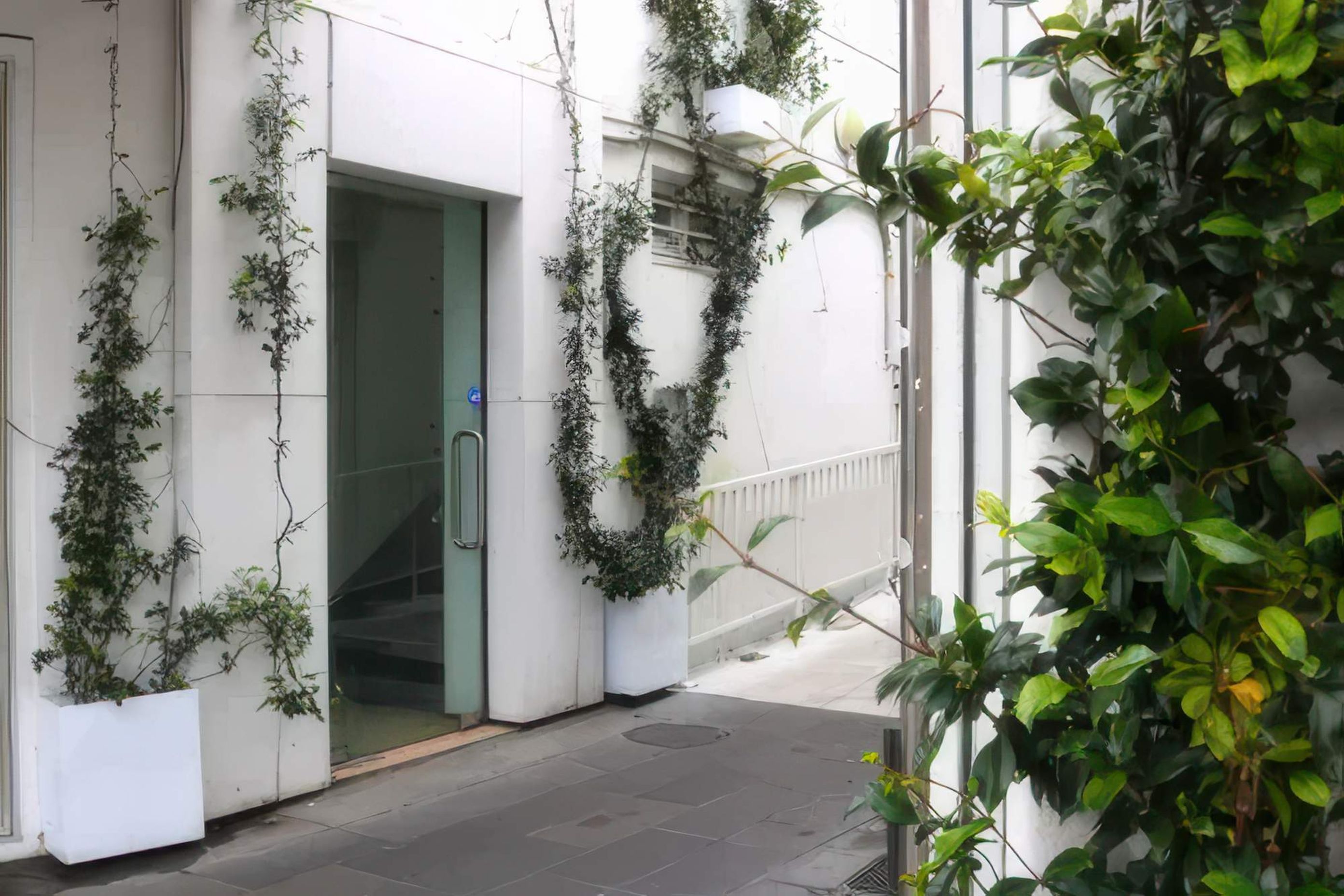 OTR3-ICT1-Star-Jasmine-in-custom-white-trough-Newmarket-Crossing-723-5-gigapixel-high-fidelity-v2-2000w.jpeg