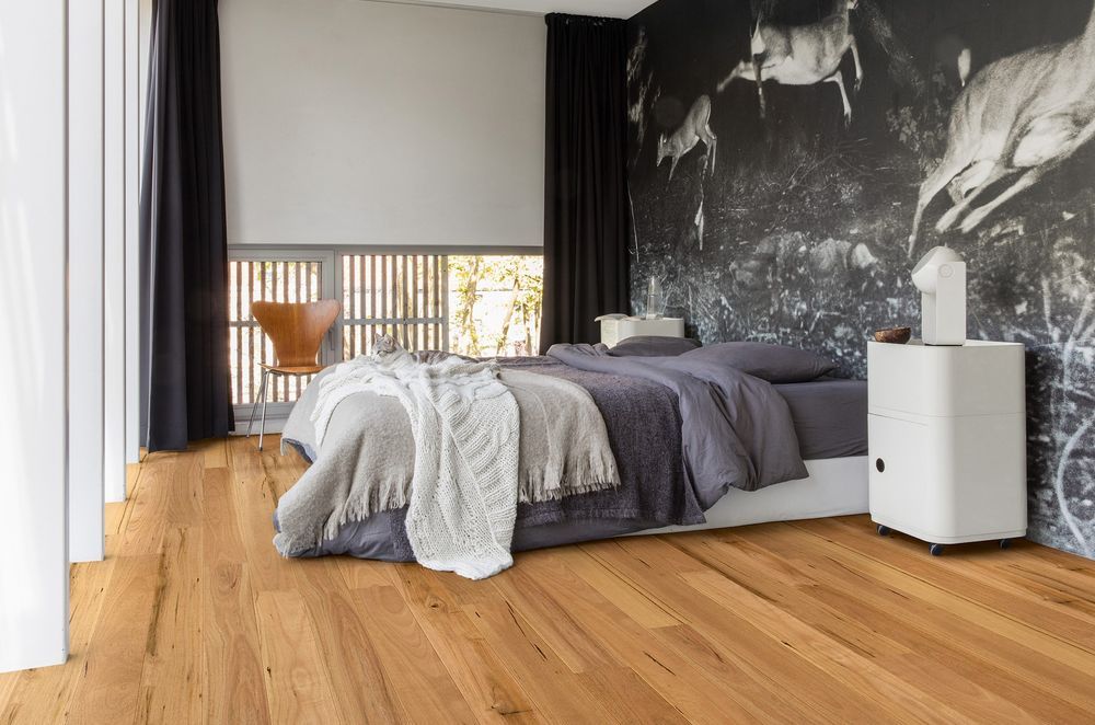 Wooden flooring with natural lightness, like this Quick-step Amato Blackbutt Flooring, will brighten a space effortlessly.