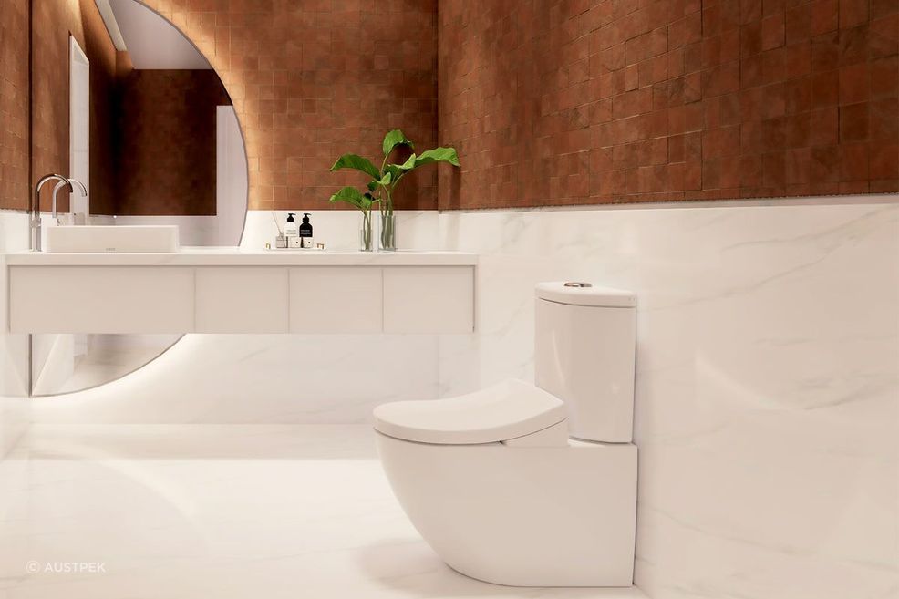 Toto Toilet + Washlet / Remote Control / Autolid | 416 by Austpek