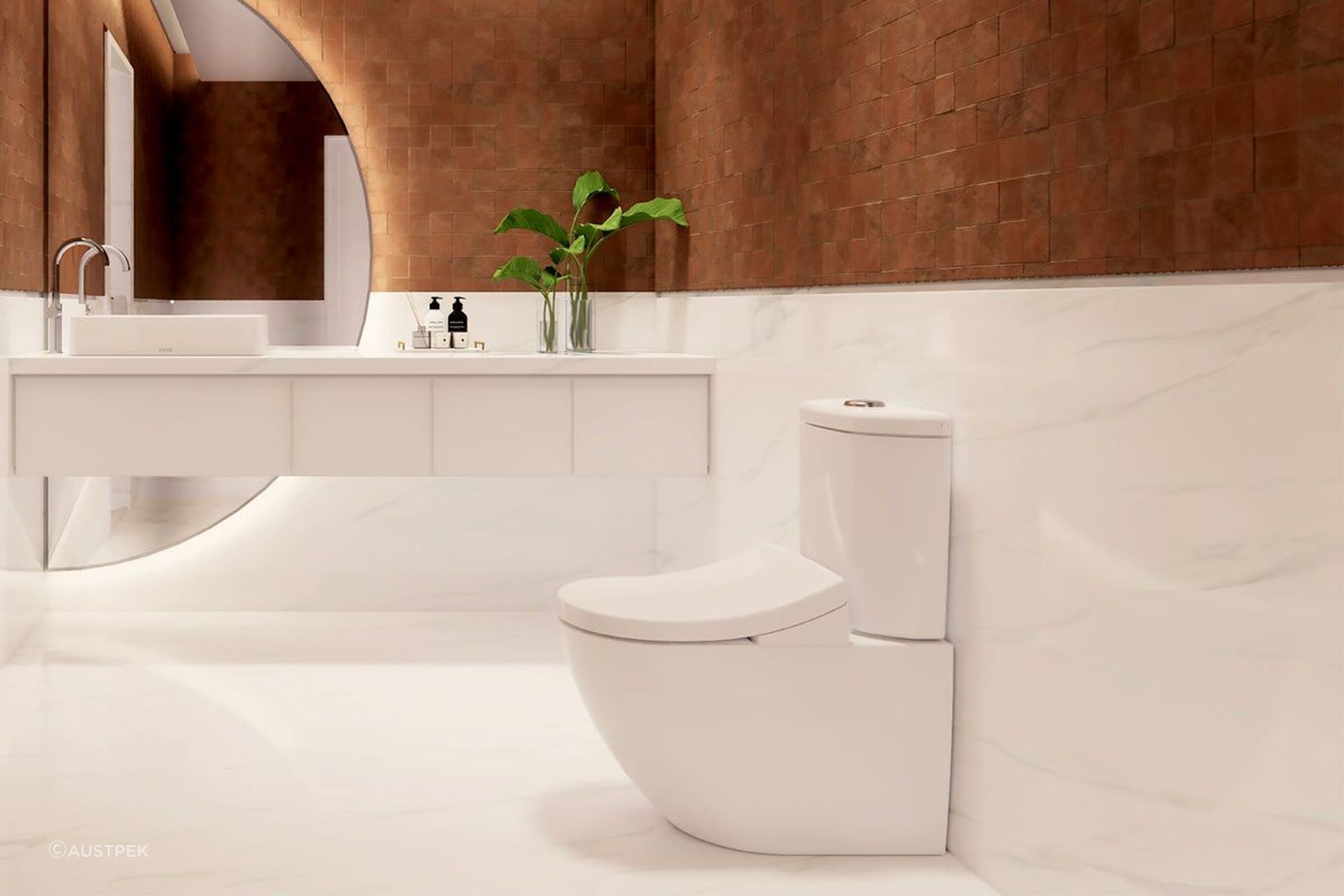 Toto Toilet + Washlet / Remote Control / Autolid | 416 by Austpek