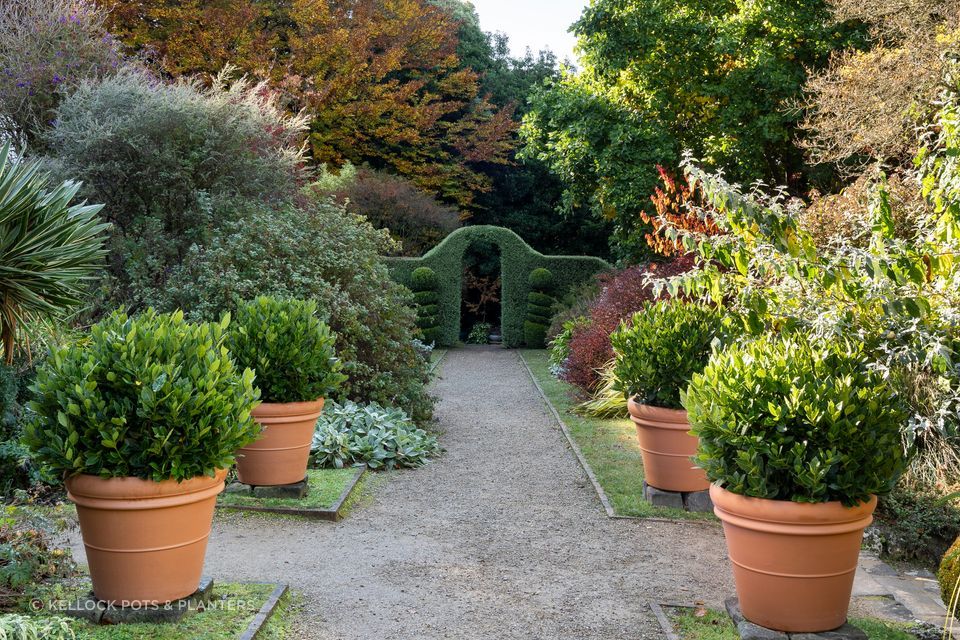 It's good to think about climate and plant health at an early stage when choosing pots for your plants.