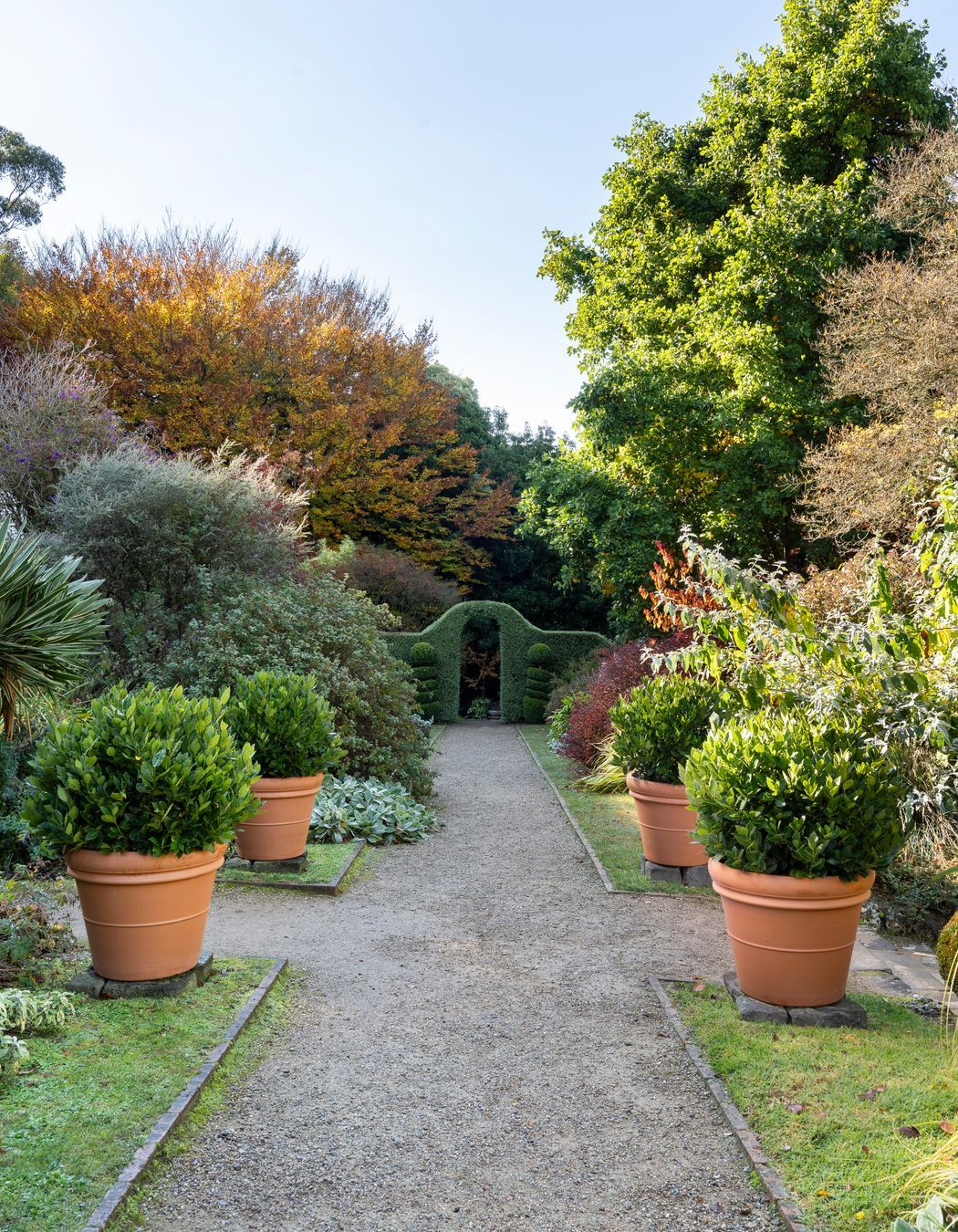 It's good to think about climate and plant health at an early stage when choosing pots for your plants.