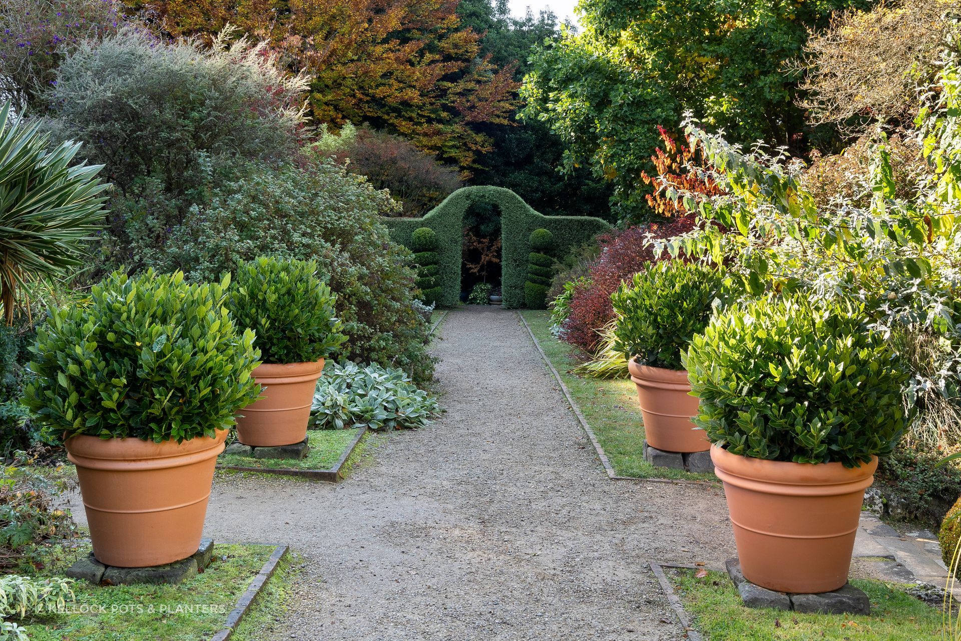It's good to think about climate and plant health at an early stage when choosing pots for your plants.