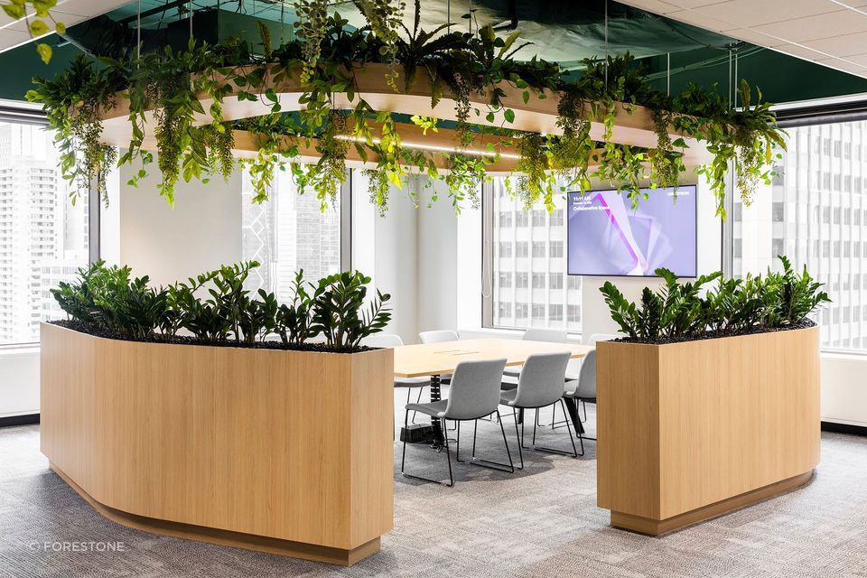 ForestOne's EGGER Vicenza Oak brings a touch of warmth and authenticity, seamlessly complementing the overall design.