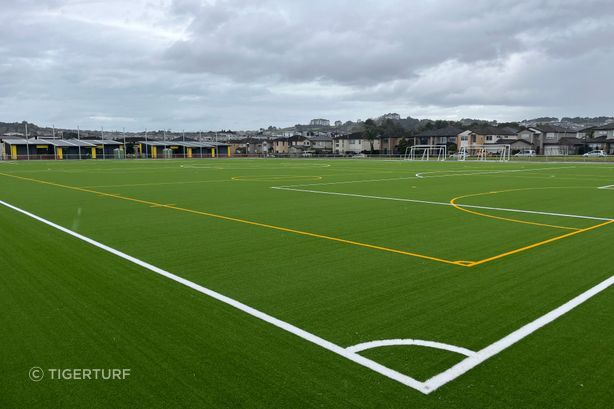 TigerTurf-NZ-Ormiston-Primary-School-11.jpg